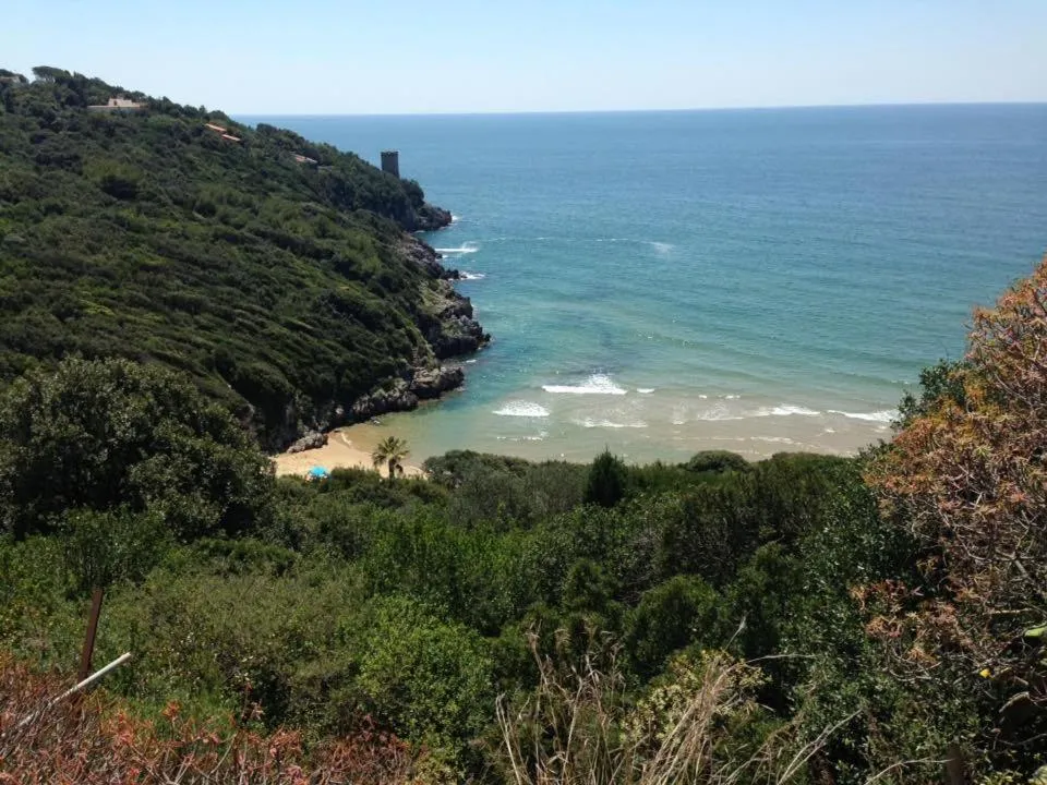 Natural landscape in Nomad B&B