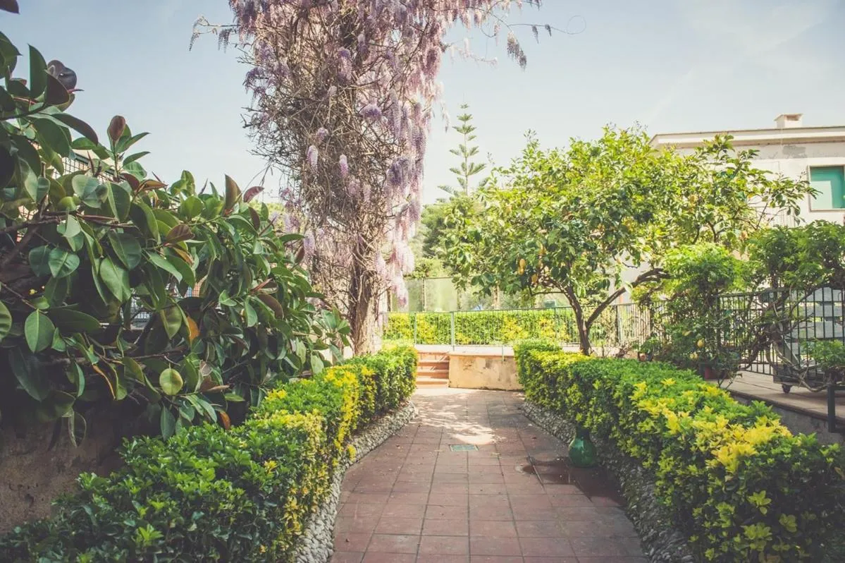 Day in Nomad B&B