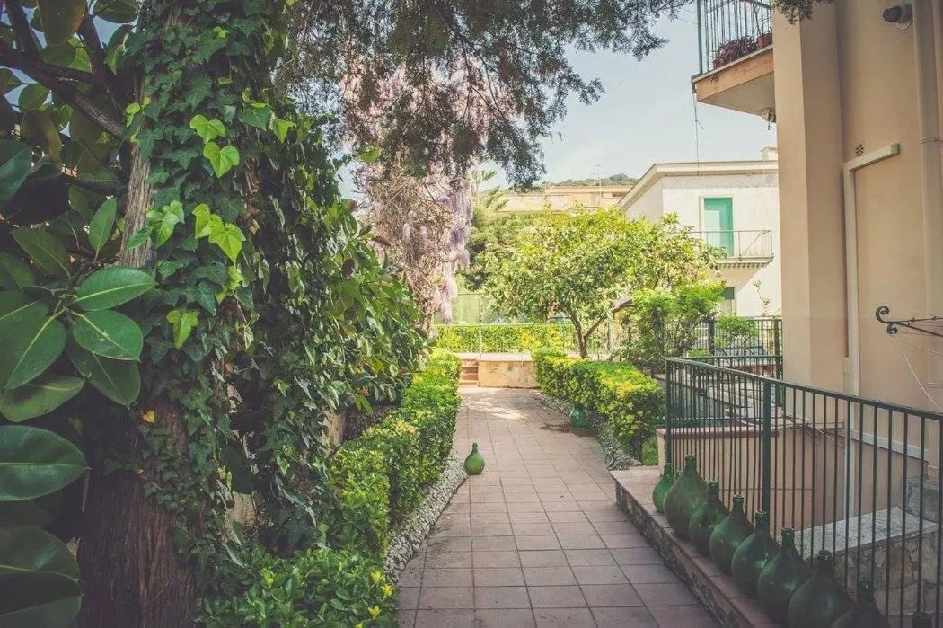 Nomad B&B