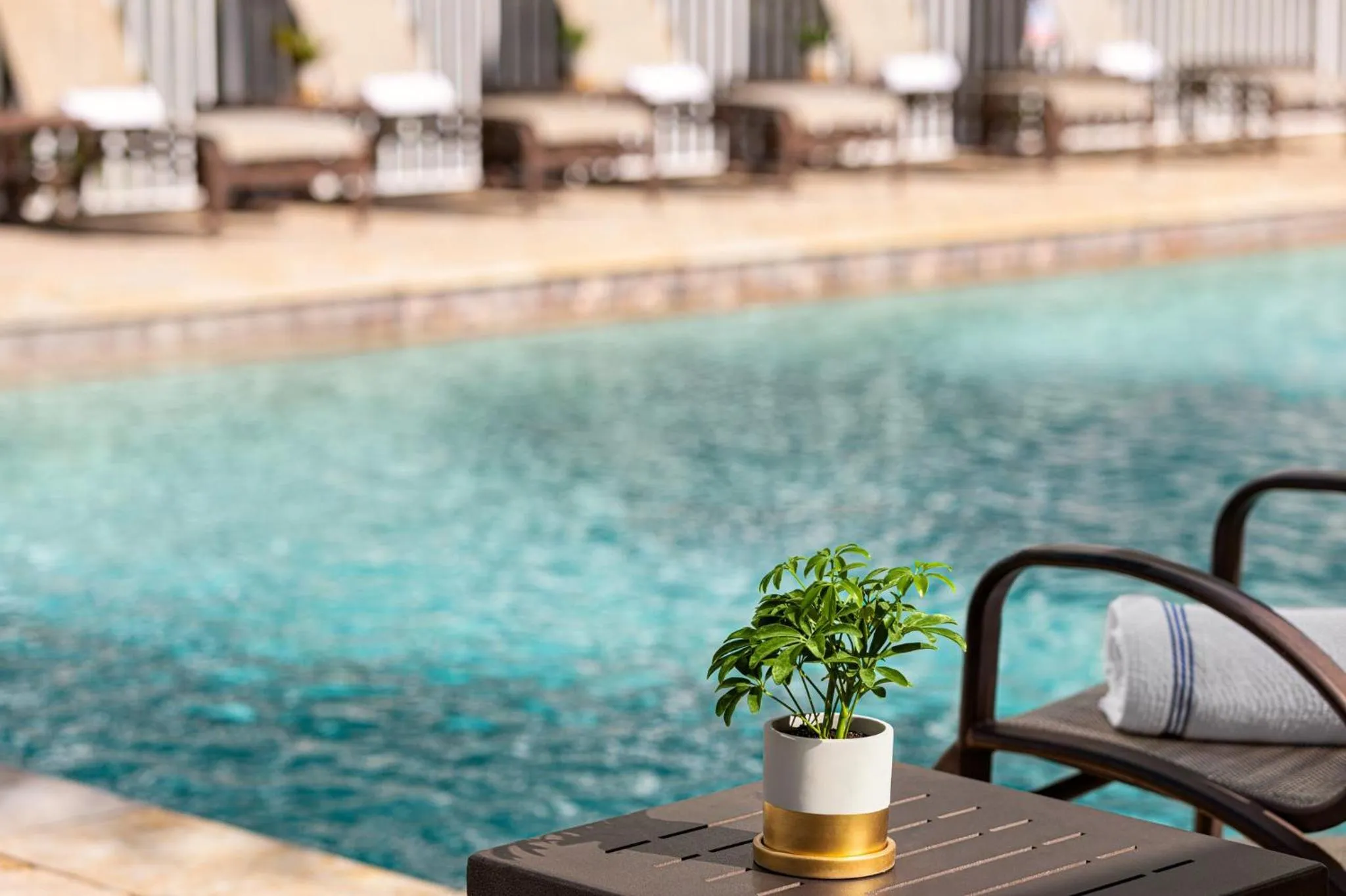 Swimming pool in Crowne Plaza Orlando-Downtown by IHG