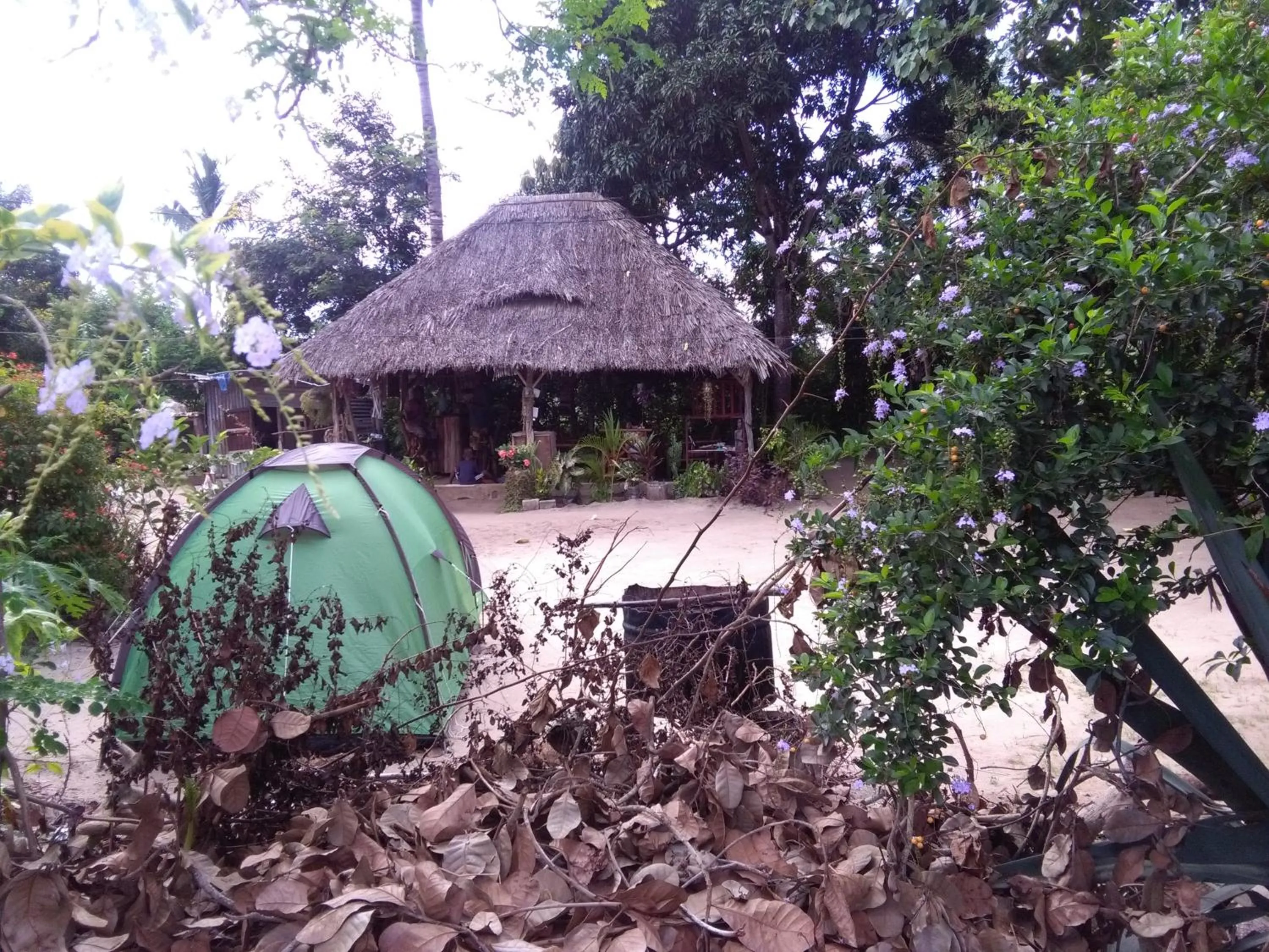 Property building in Eazy's Place