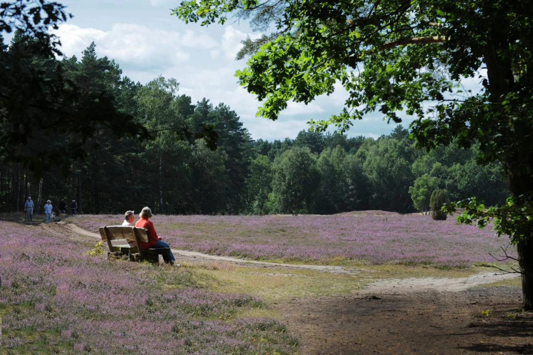 Natural landscape in Hotel Pension Marie-Luise, Hotel garni,Therme plus