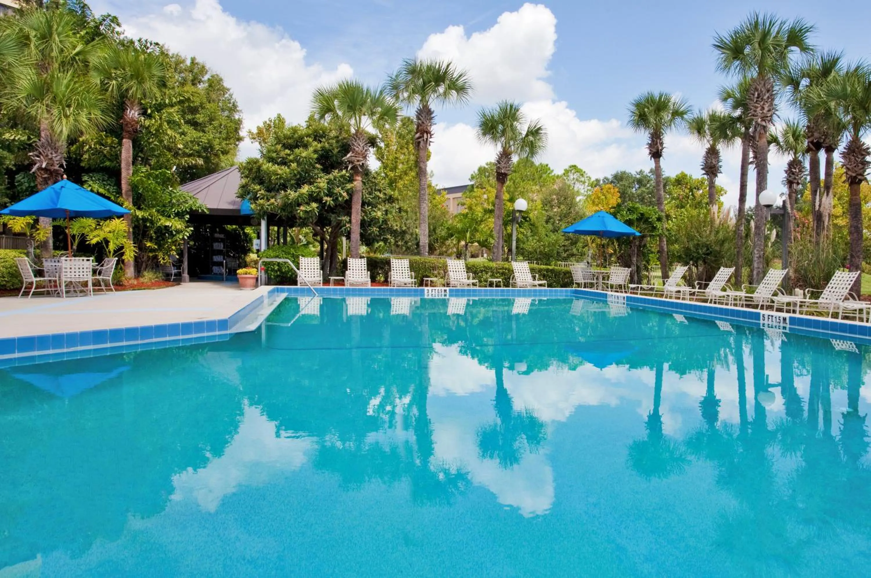 Swimming pool in Holiday Inn Orlando International Airport by IHG
