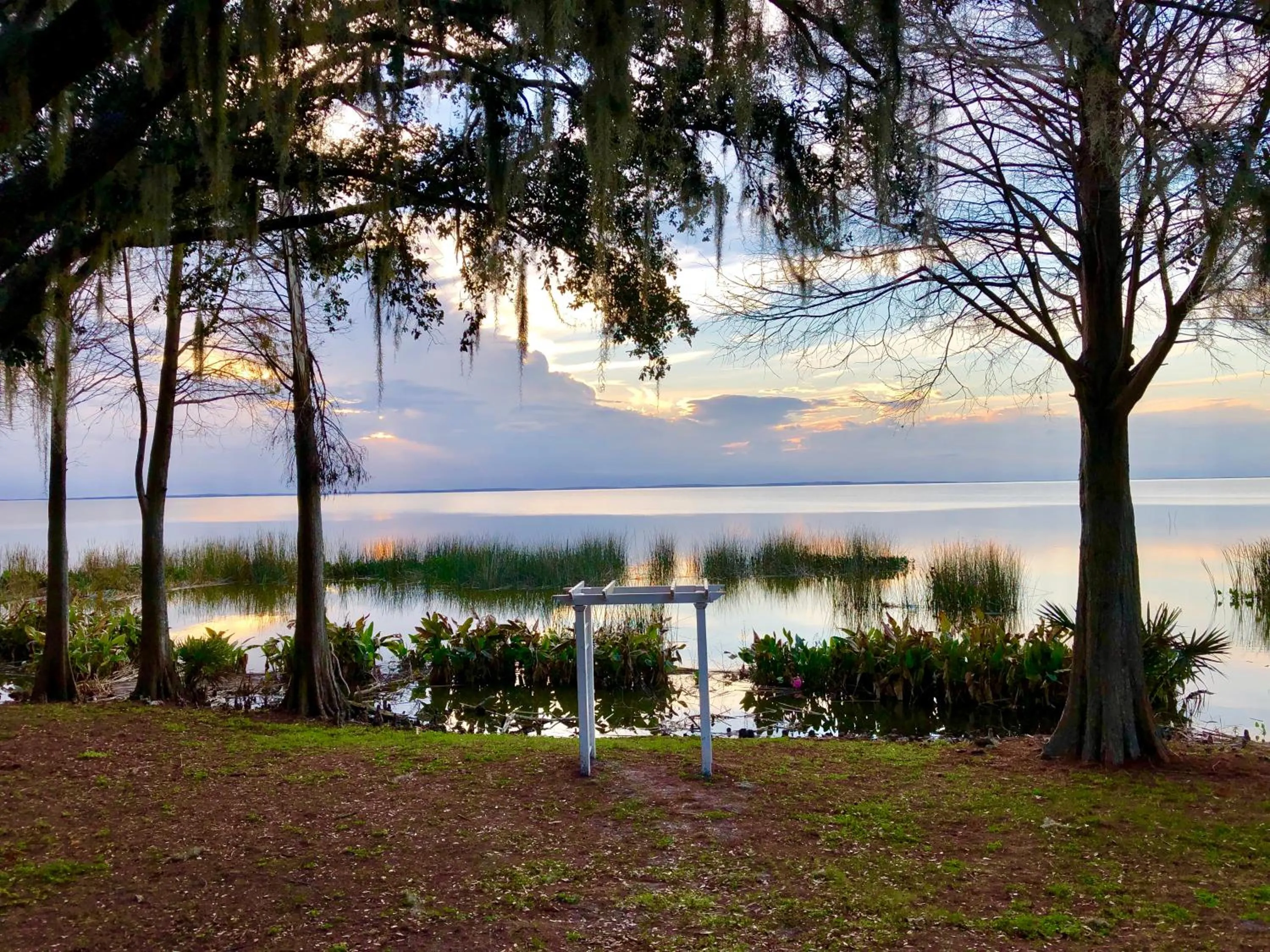 Area and facilities in Holiday Inn Orlando International Airport by IHG