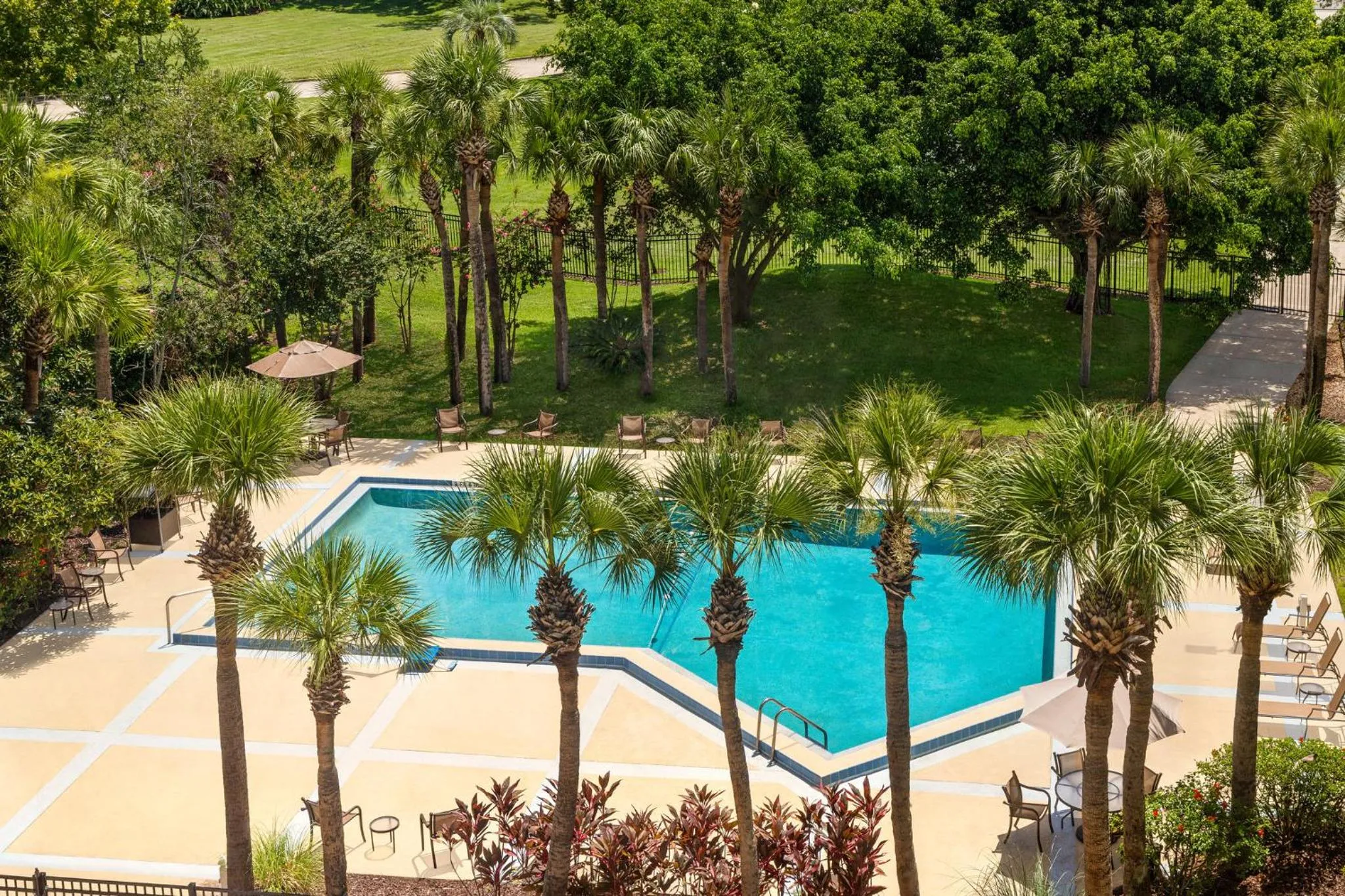 Swimming pool in Holiday Inn Orlando International Airport by IHG