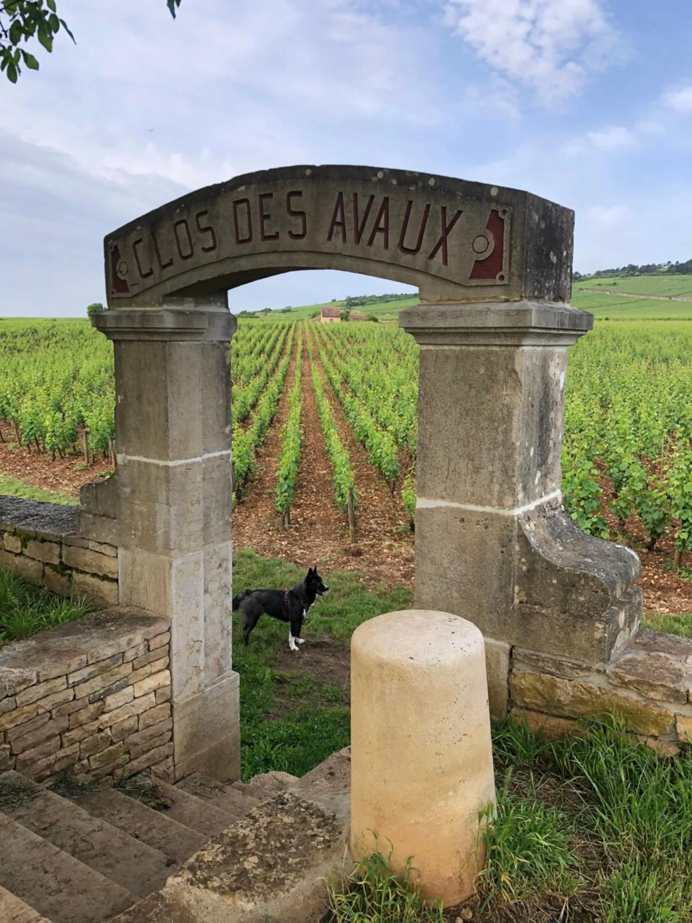 la route des vins