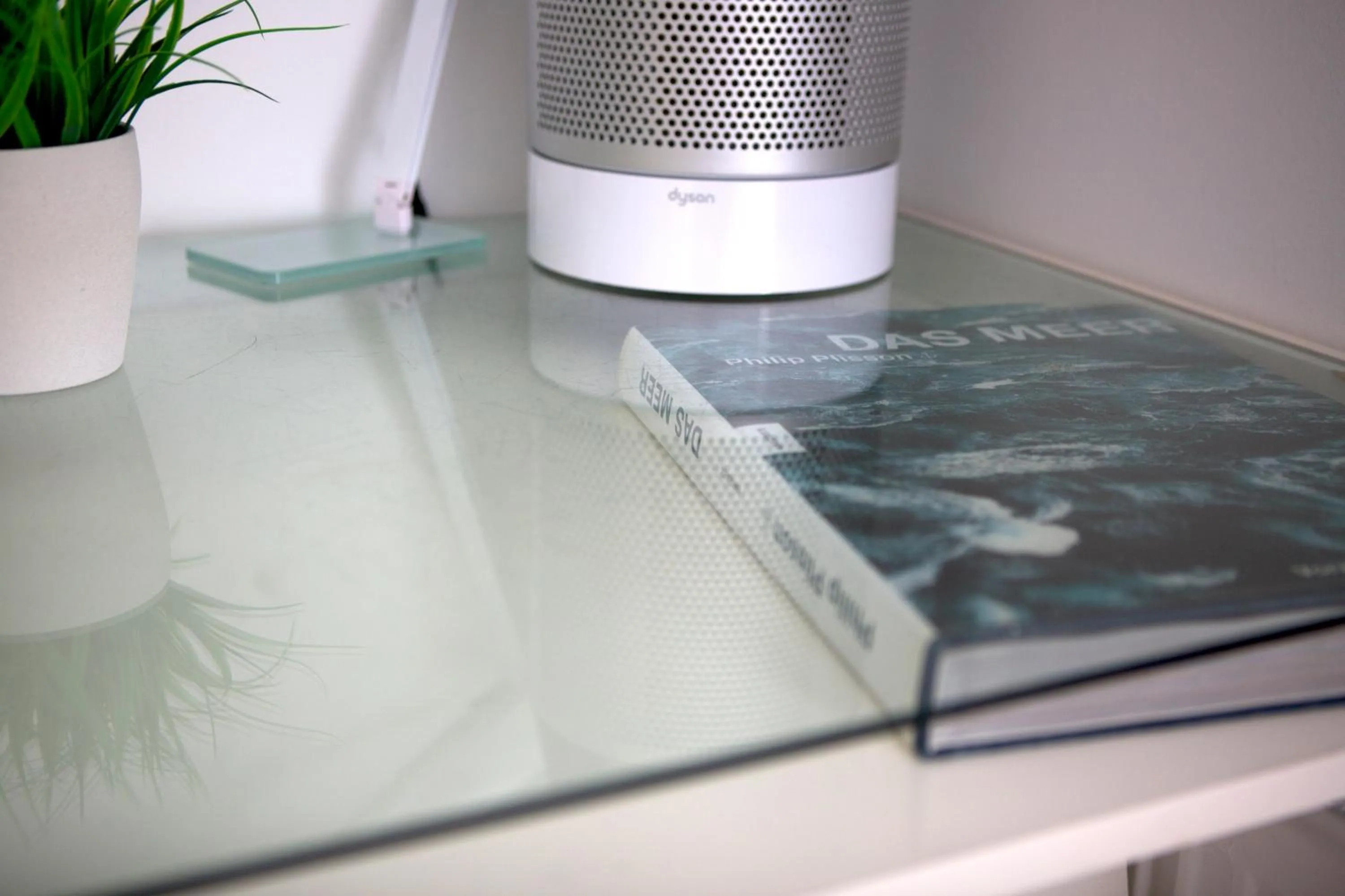 Decorative detail in CitySurfer44