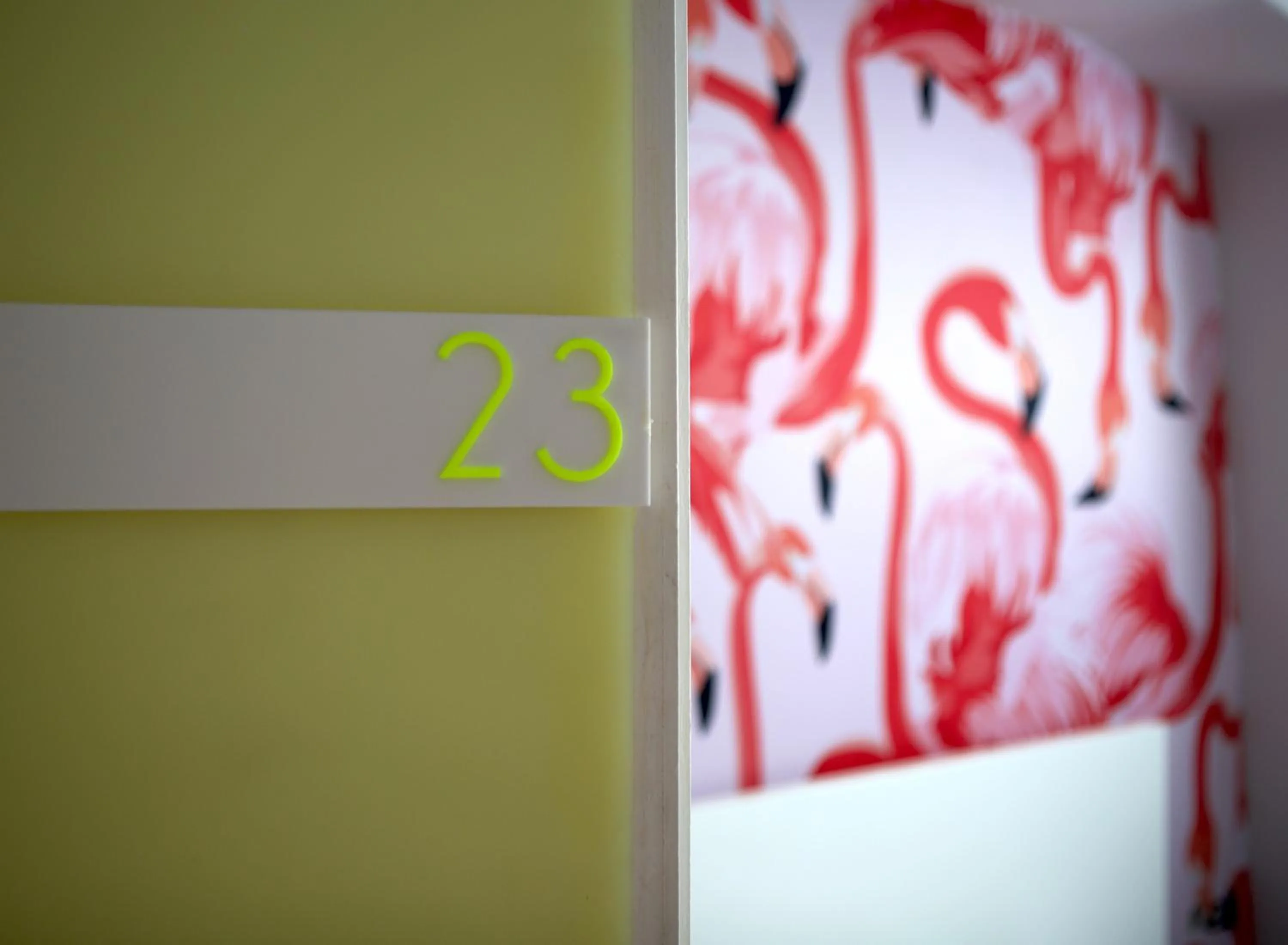 Text overlay in CitySurfer44