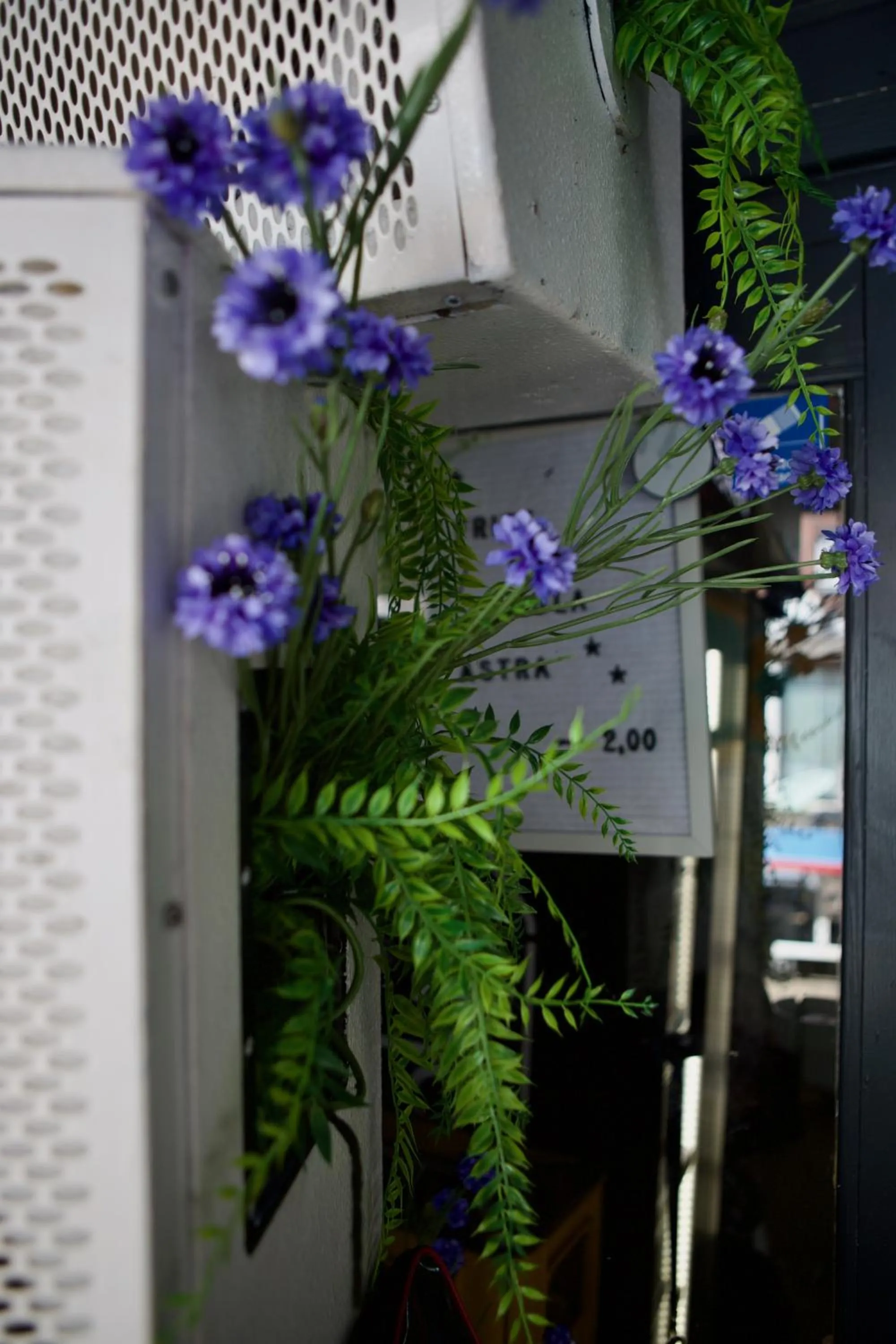 Decorative detail in CitySurfer44