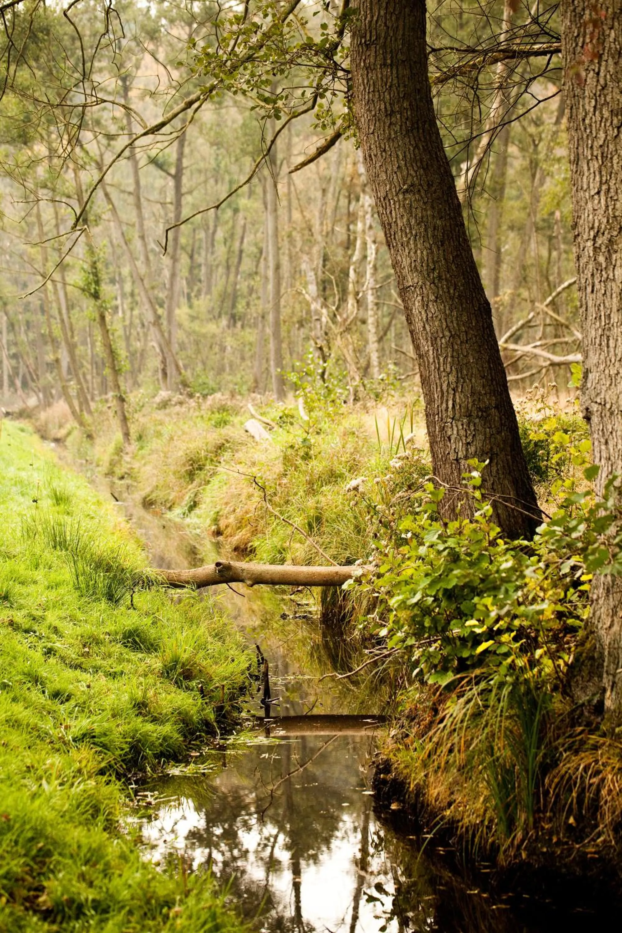 Property building in Gut Boltenhof
