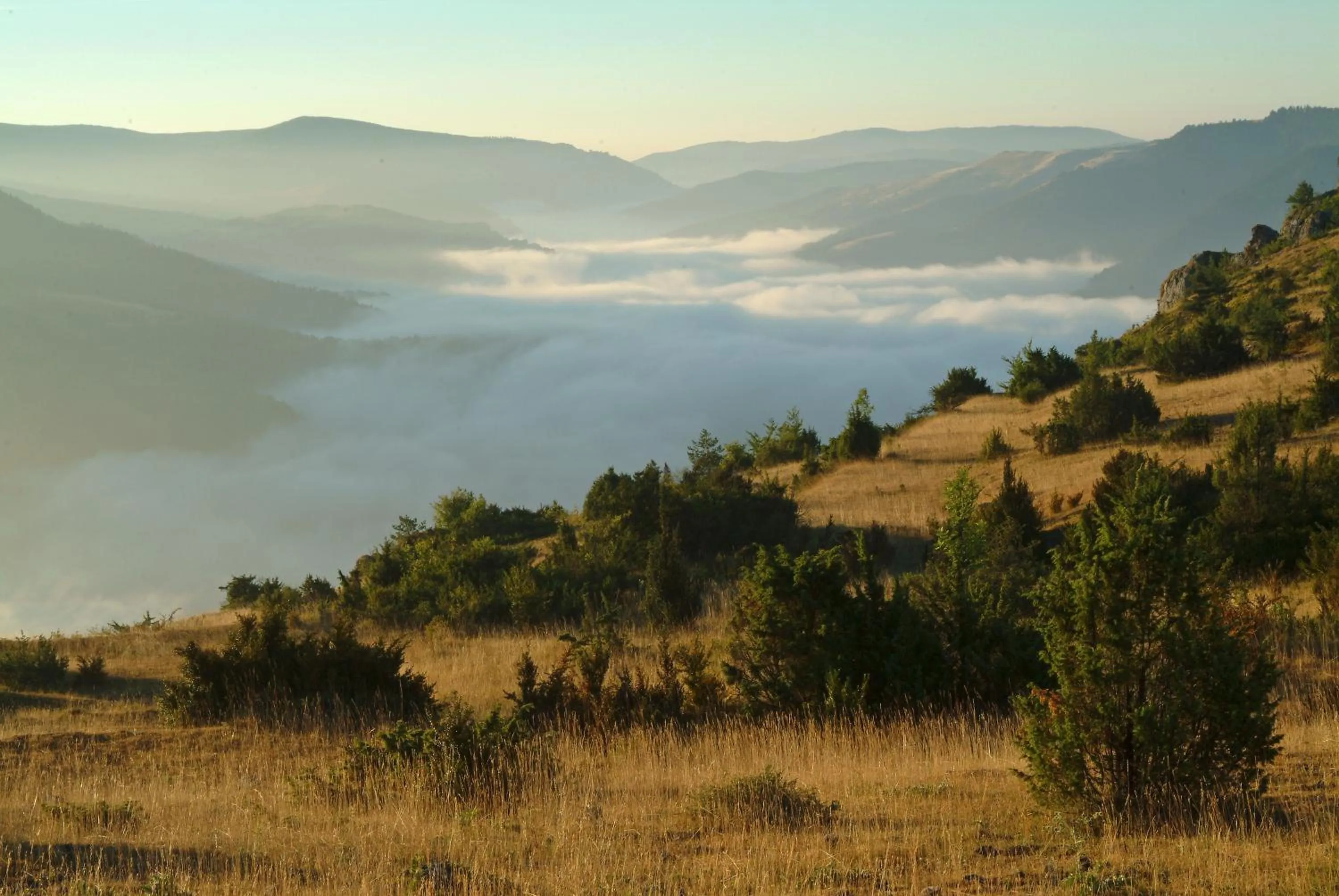 Natural landscape in Logis Hotel Restaurant Family & Spa