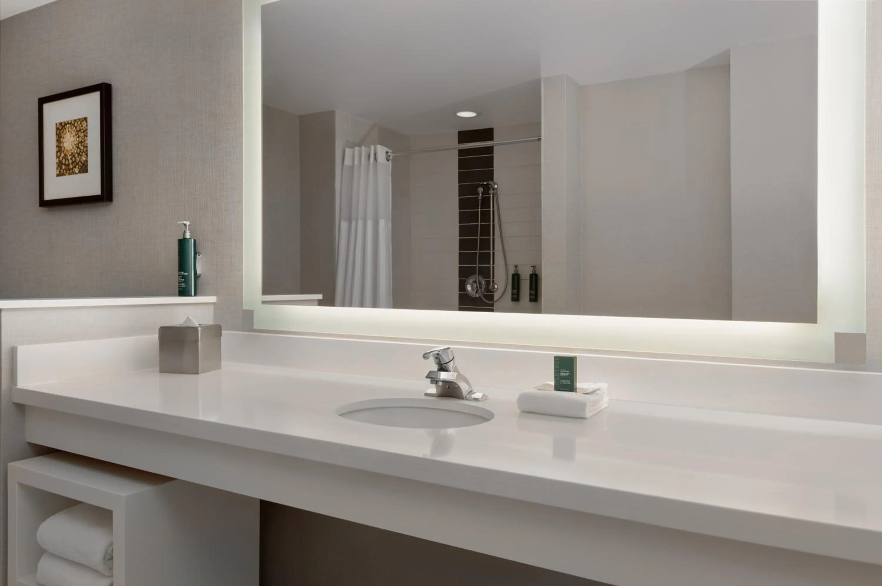 Bathroom in DoubleTree by Hilton Las Vegas East Flamingo