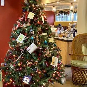 Restaurant/places to eat in Las Palomas Restaurant/places to eat in Las Palomas