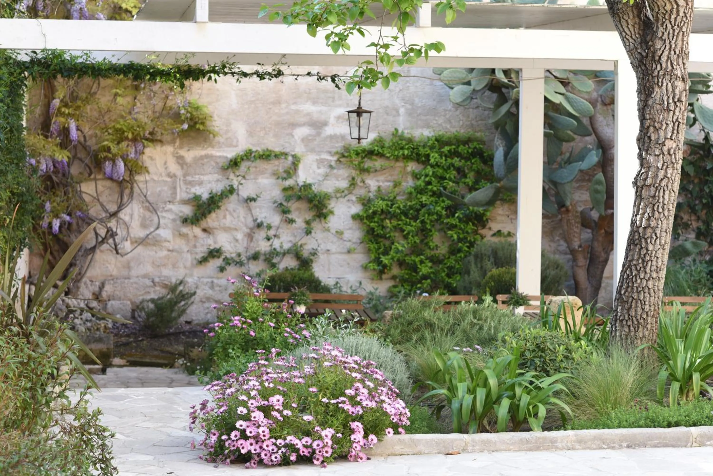 Patio in Il Giardino Di Benedetta