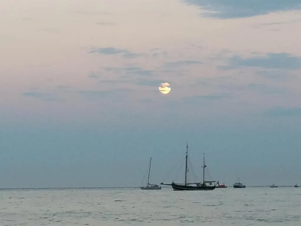 View (from property/room) in Beachcomber Holiday Apartments