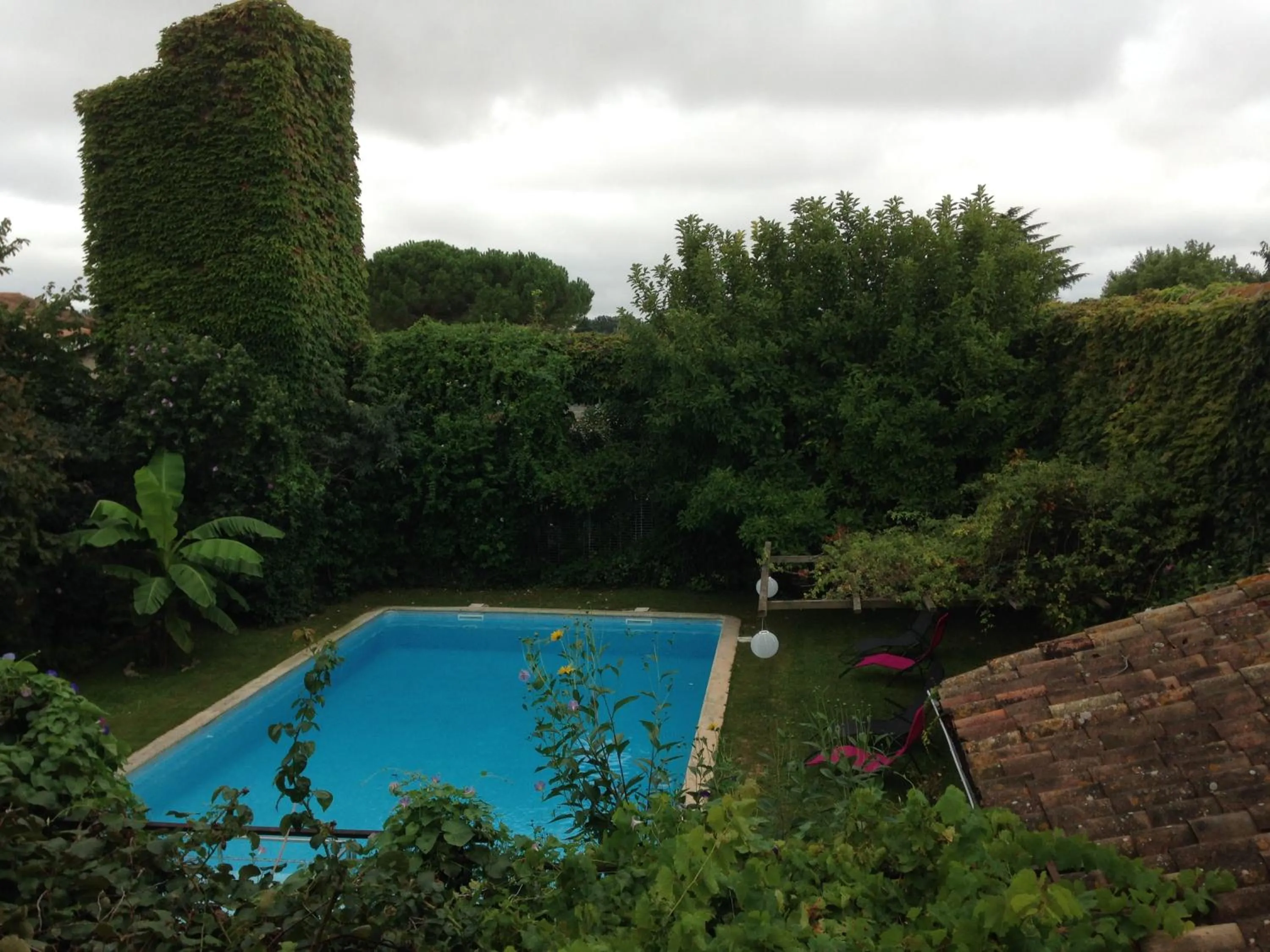 Pool view in Gentil'Home - Toulouse B&B Prestige