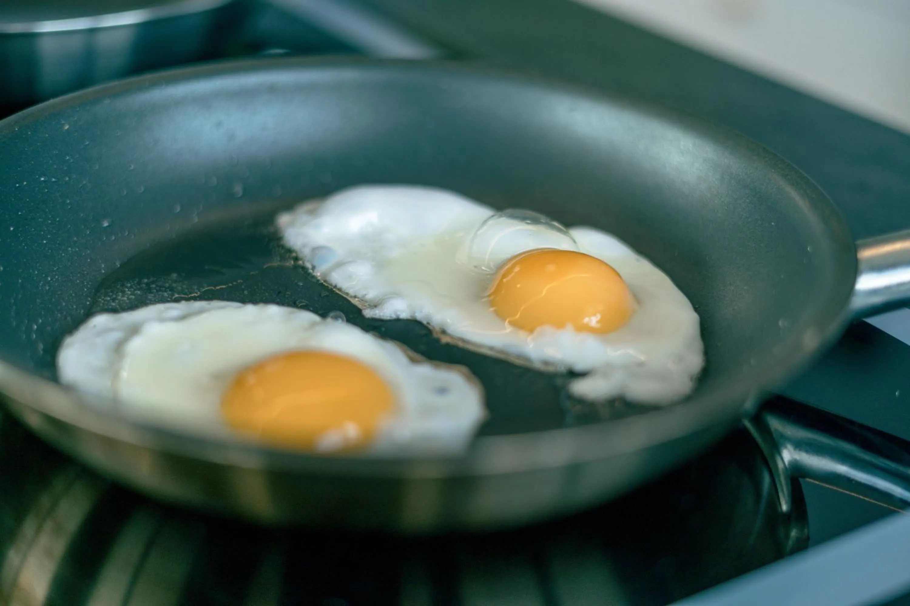 Food and drinks in Hotel Eden Park
