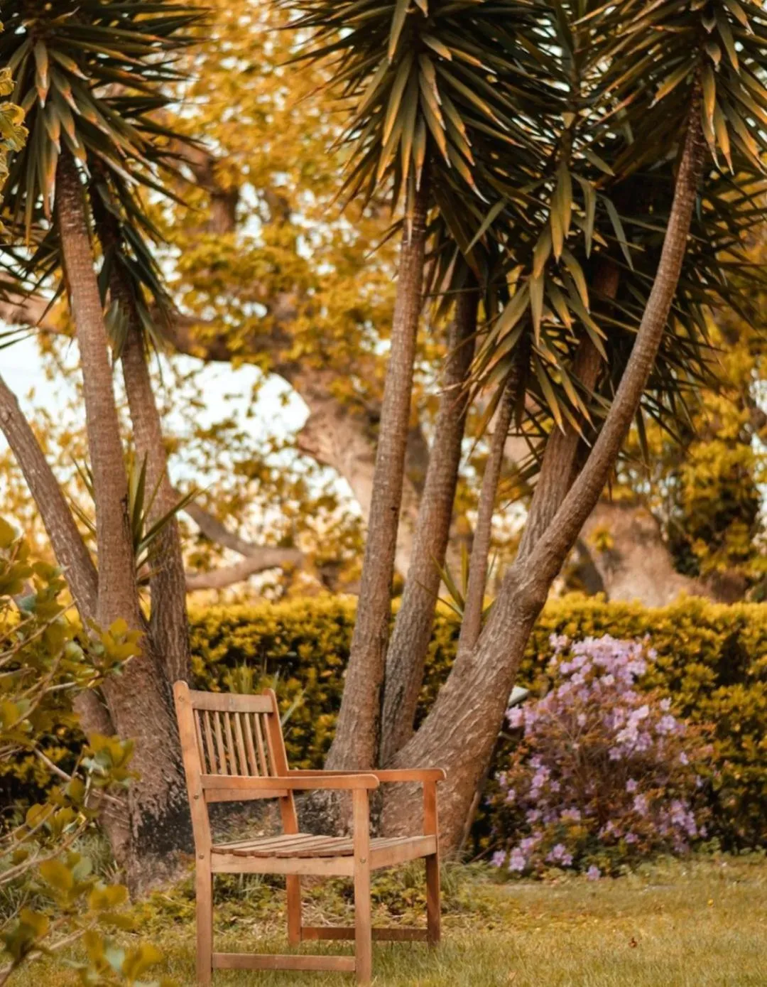 Natural landscape in Hôtel Chantaco Golf & Wellness