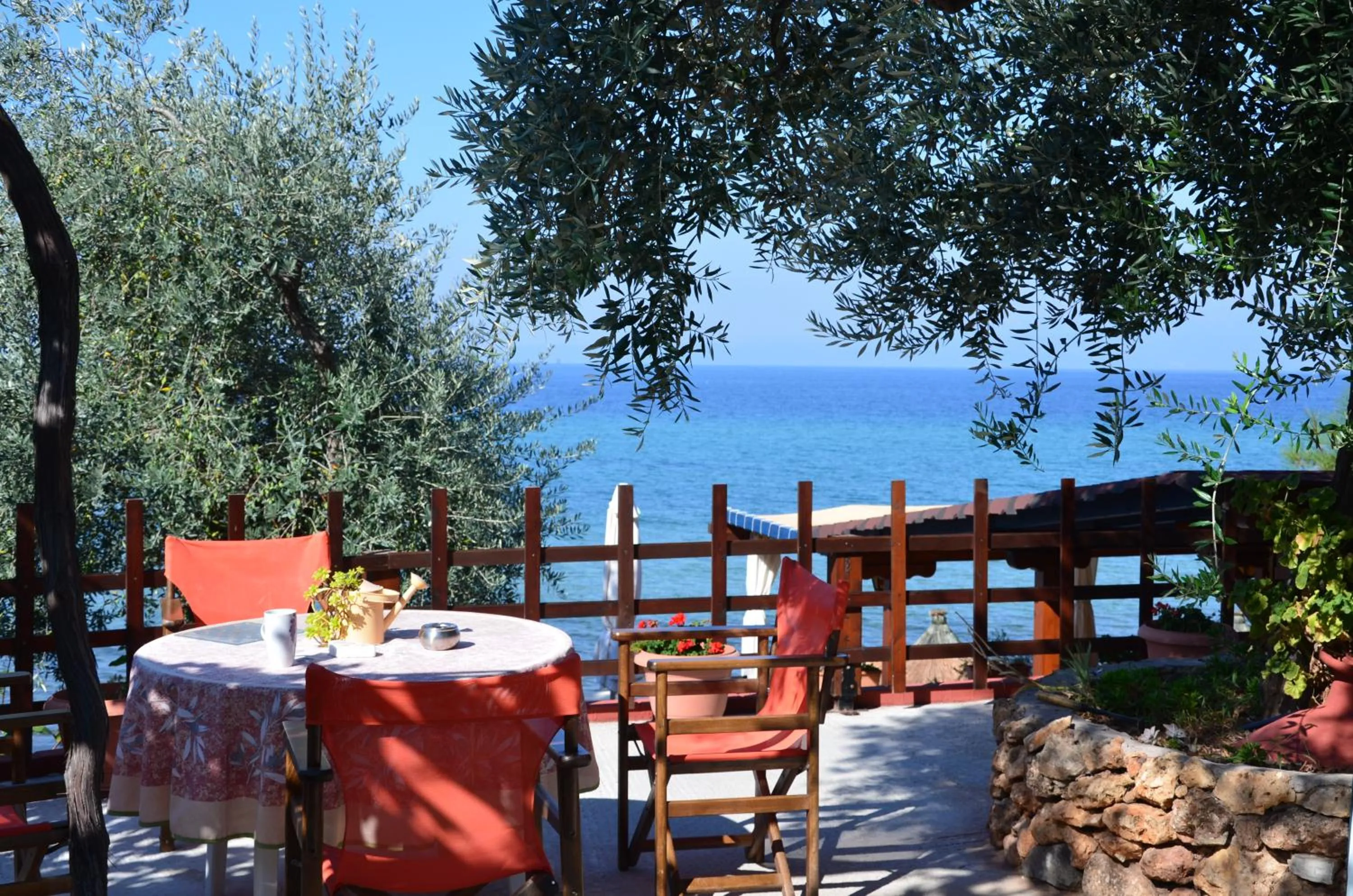 Patio in Studios Plaka