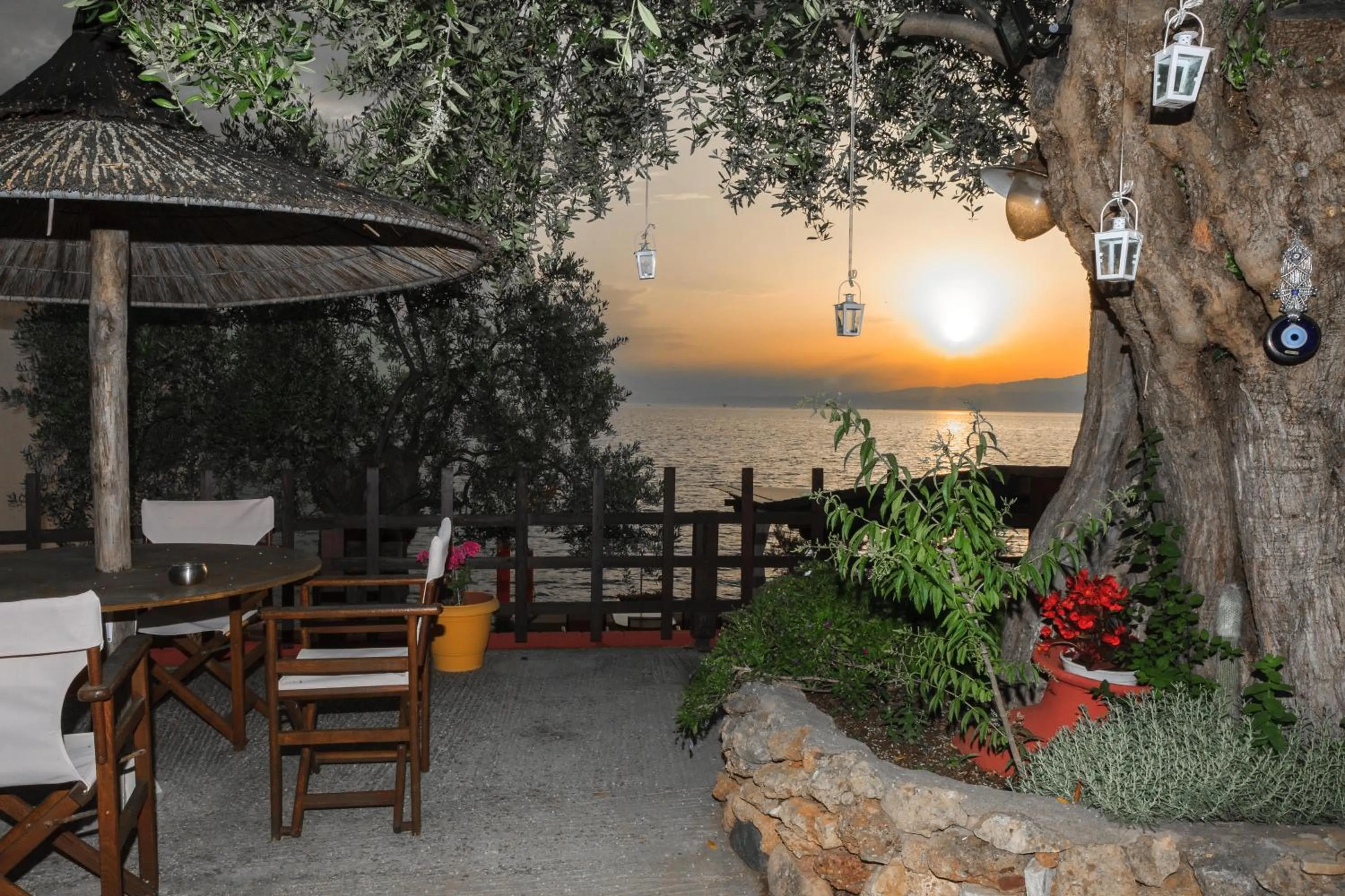 Garden view in Studios Plaka