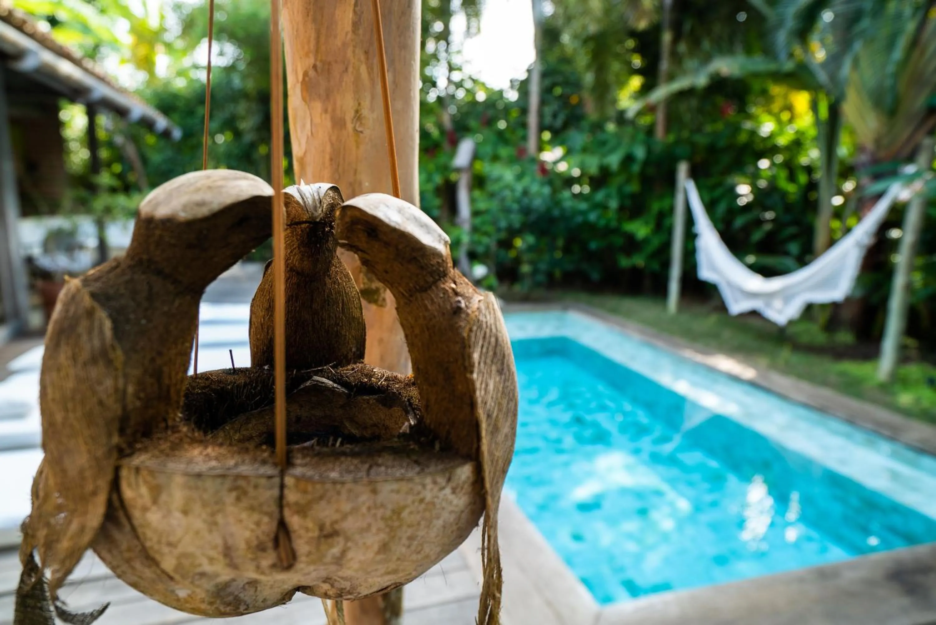 Garden in Casa Angatu