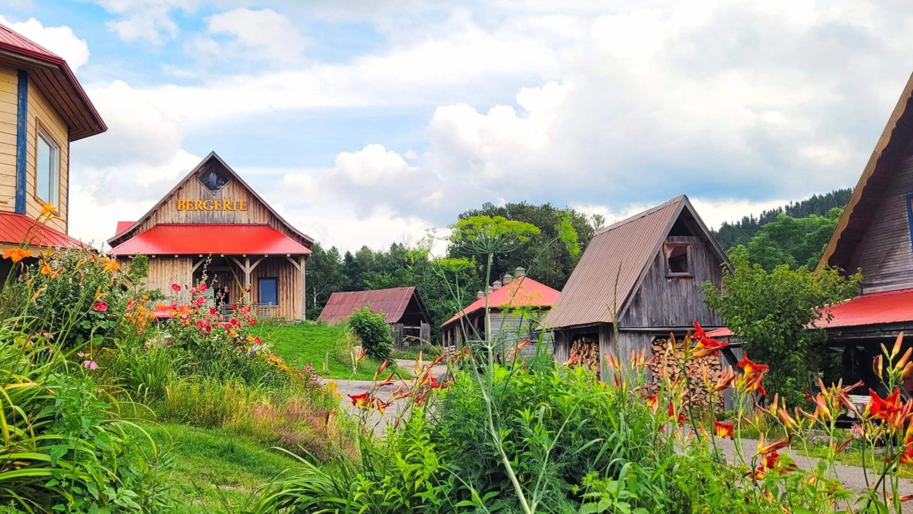 Garden view in La vieille ferme, Écogîte