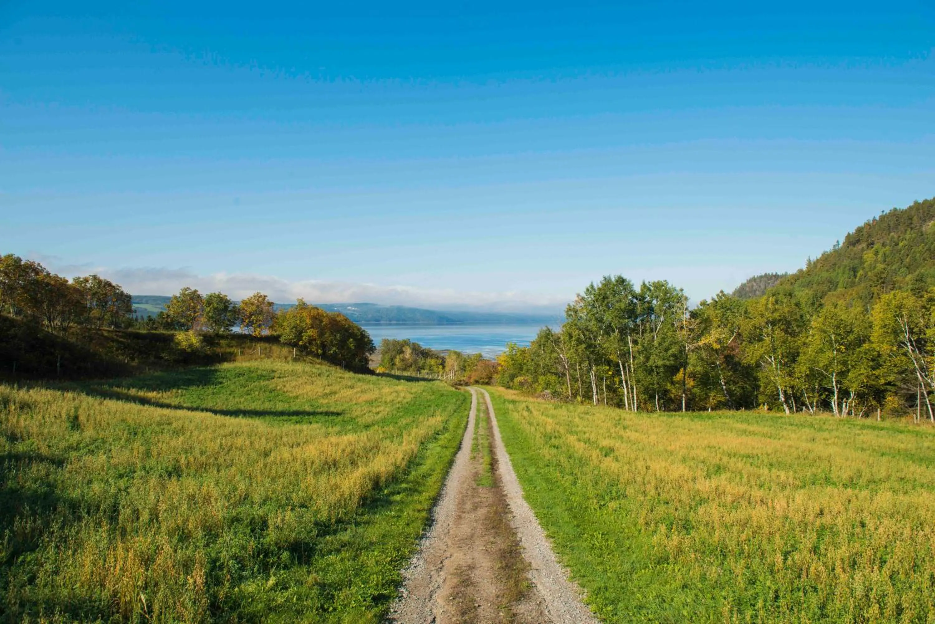 Natural landscape in La vieille ferme, Écogîte