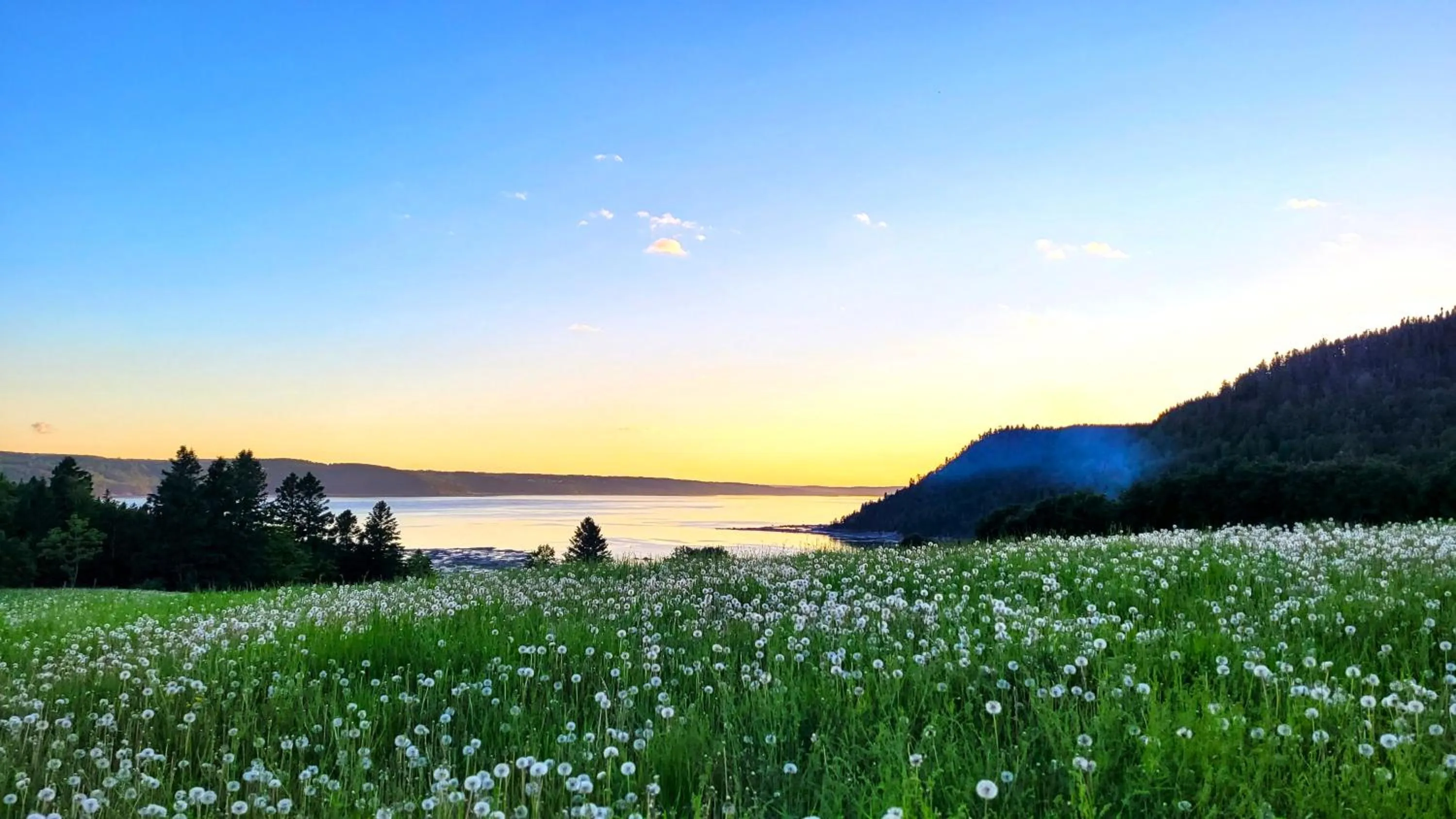 River view in La vieille ferme, Écogîte