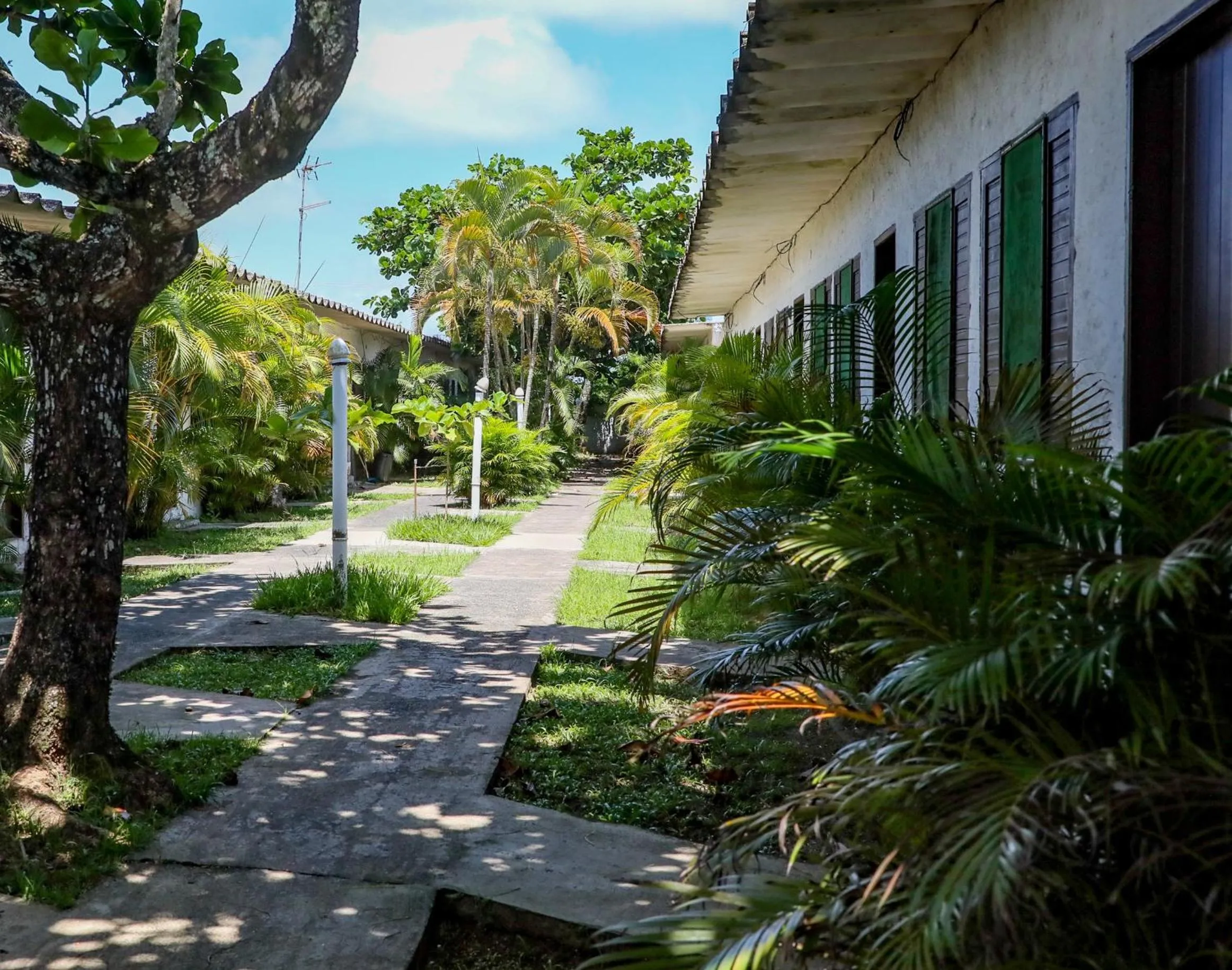 Property building in Samburá Chalés