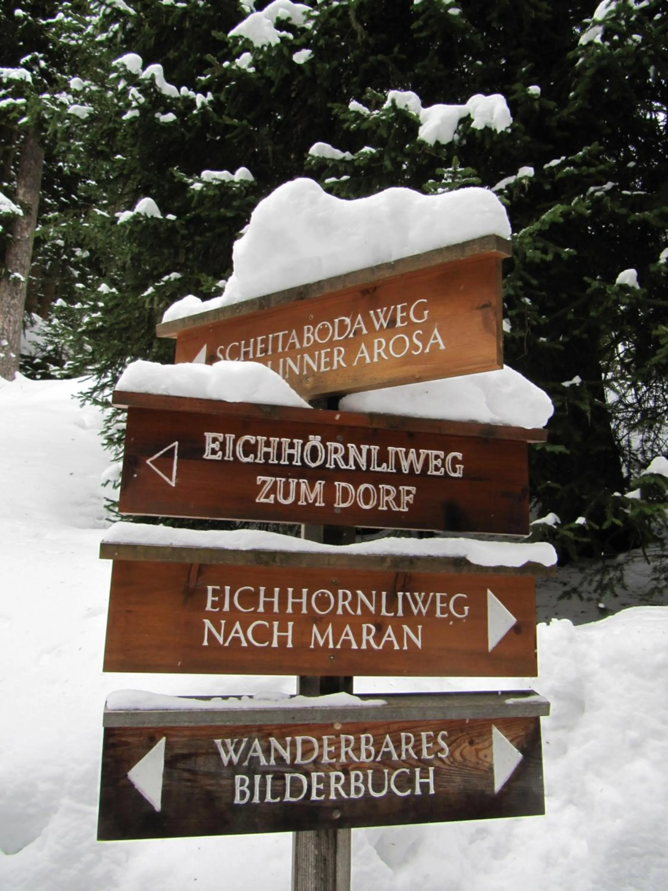 Winter in AROSA ALPINE CLUB - Adults only