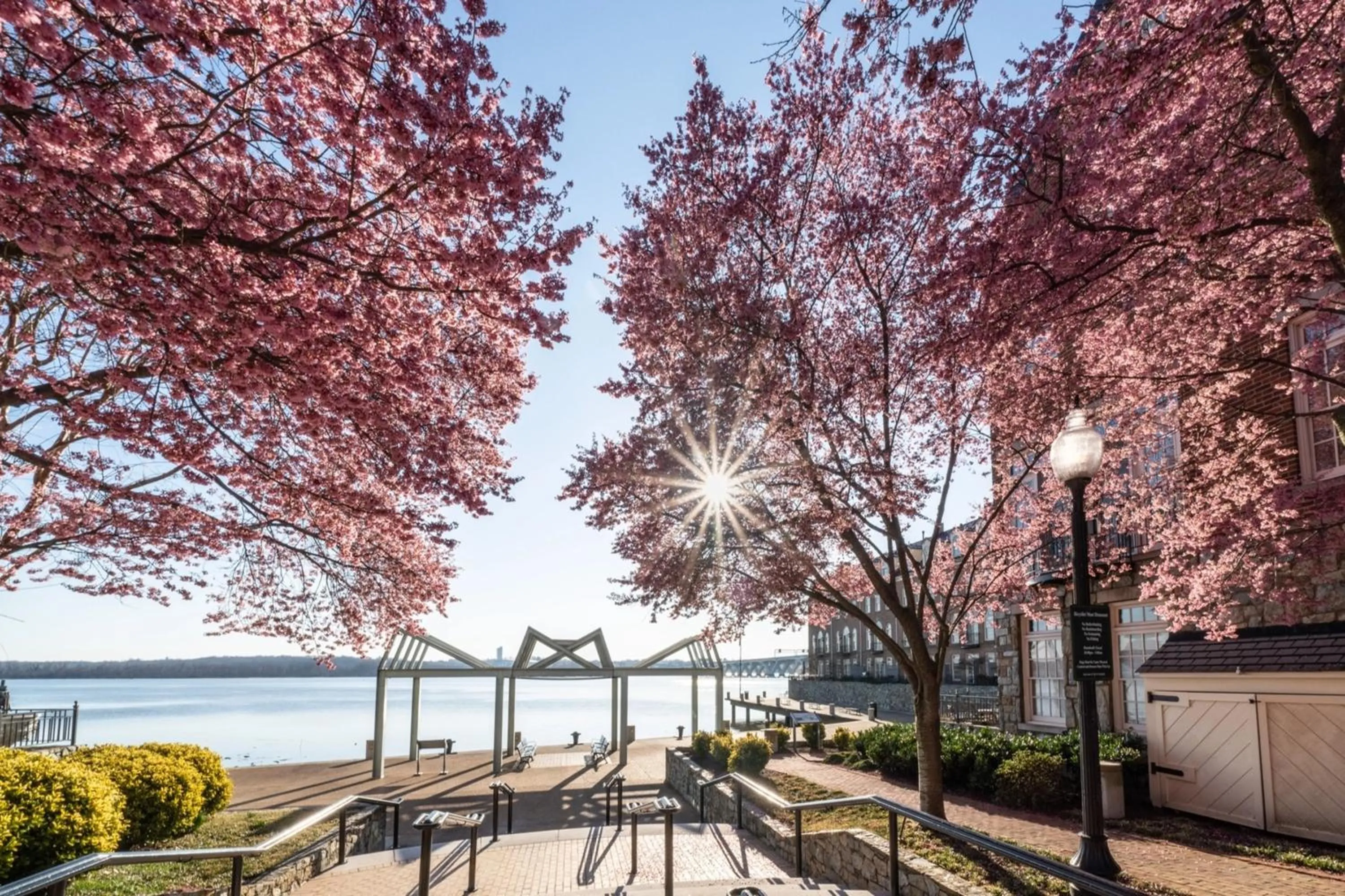 Nearby landmark in Hotel AKA Alexandria