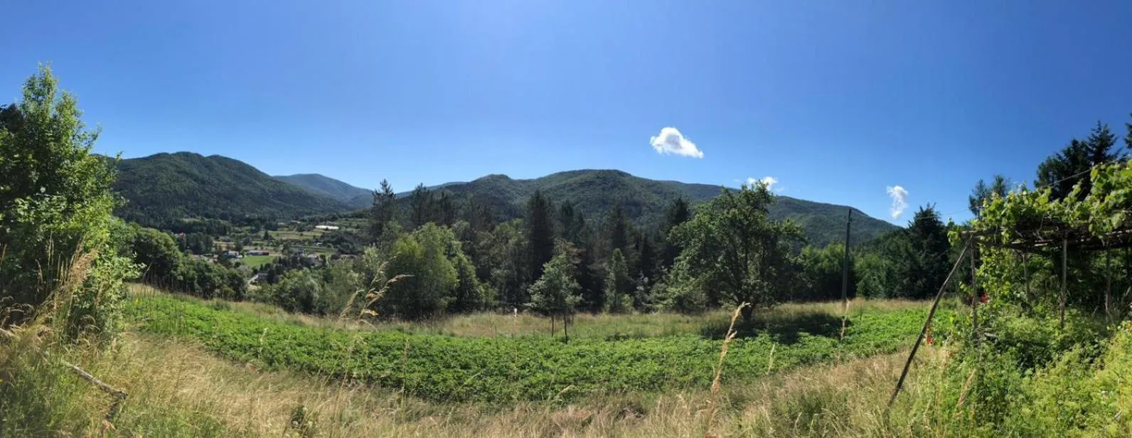 Miramonti