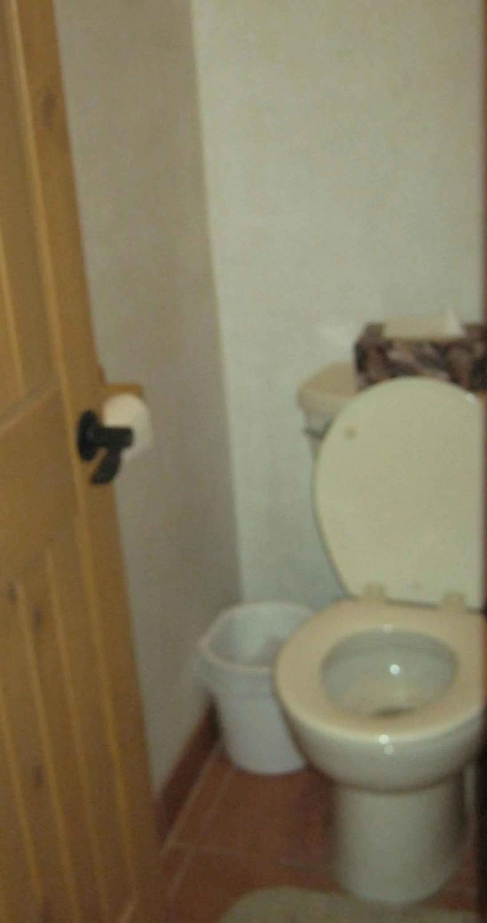 Toilet in Shady Brook Inn Village/Resort