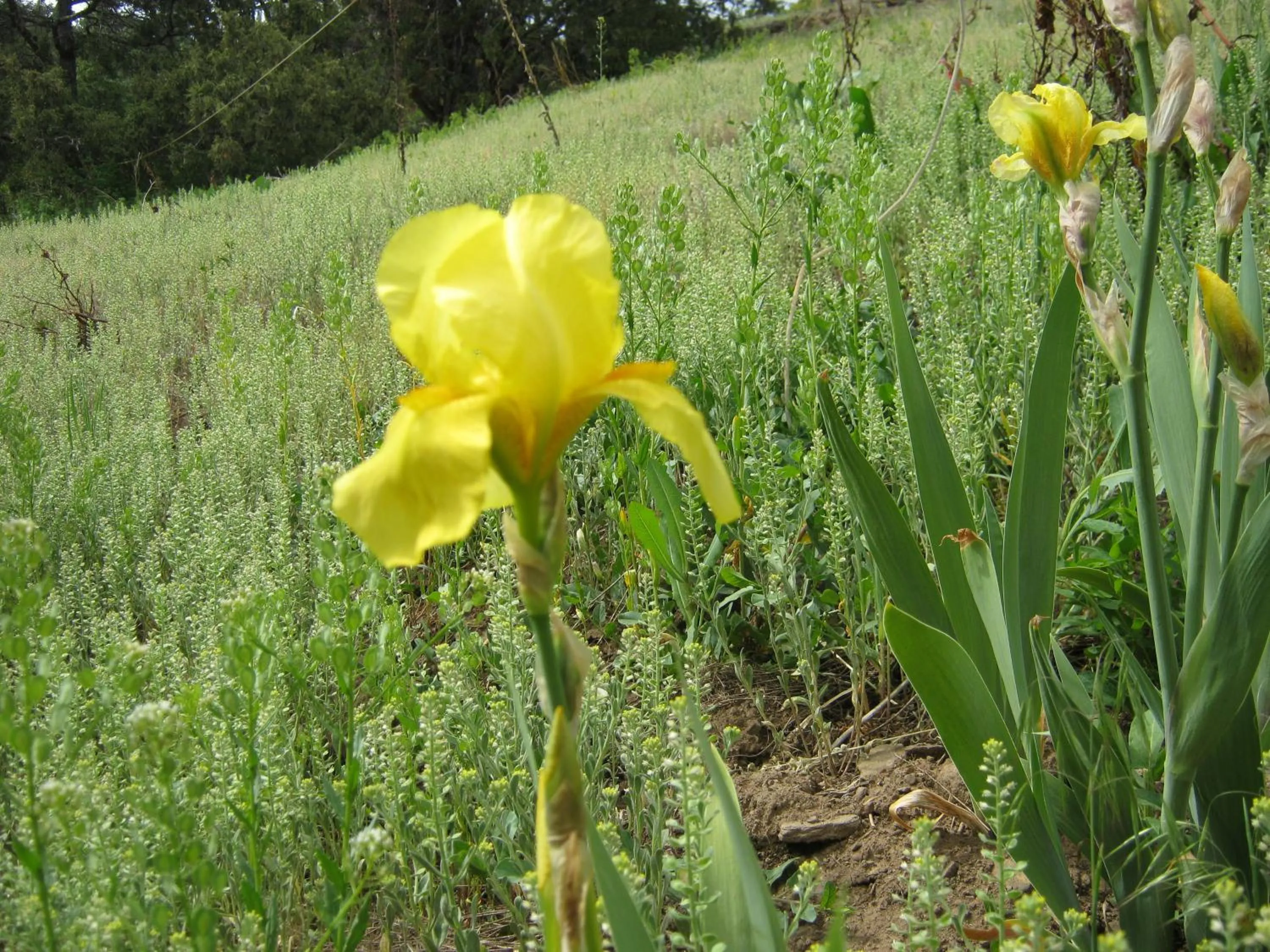 Other in Shady Brook Inn Village/Resort