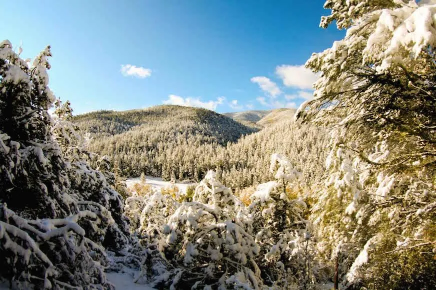 Day in Shady Brook Inn Village/Resort