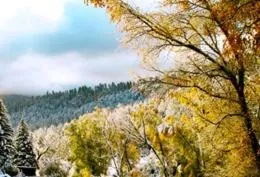 Property building in Shady Brook Inn Village/Resort