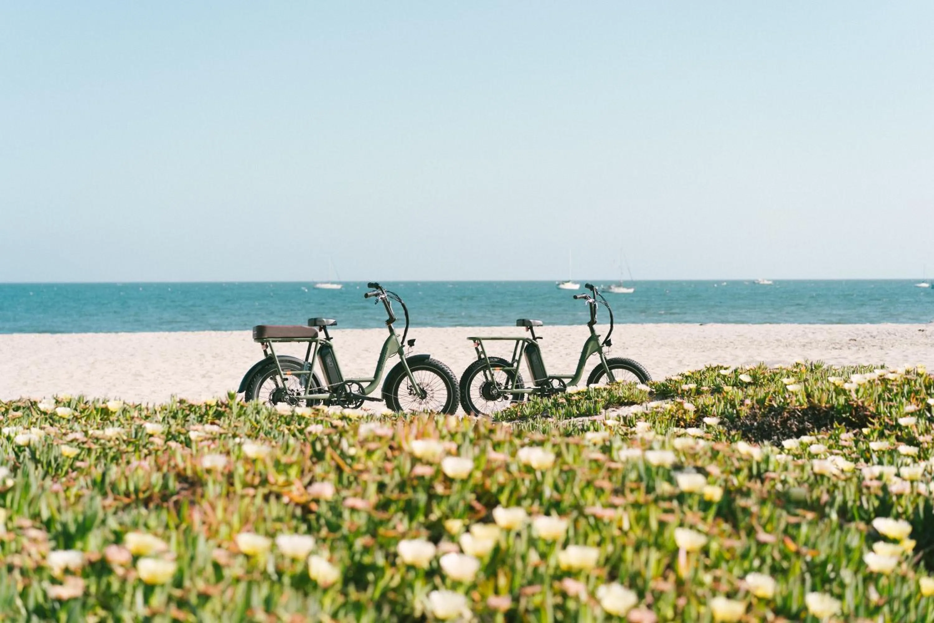 Beach in Pacific Crest Hotel Santa Barbara