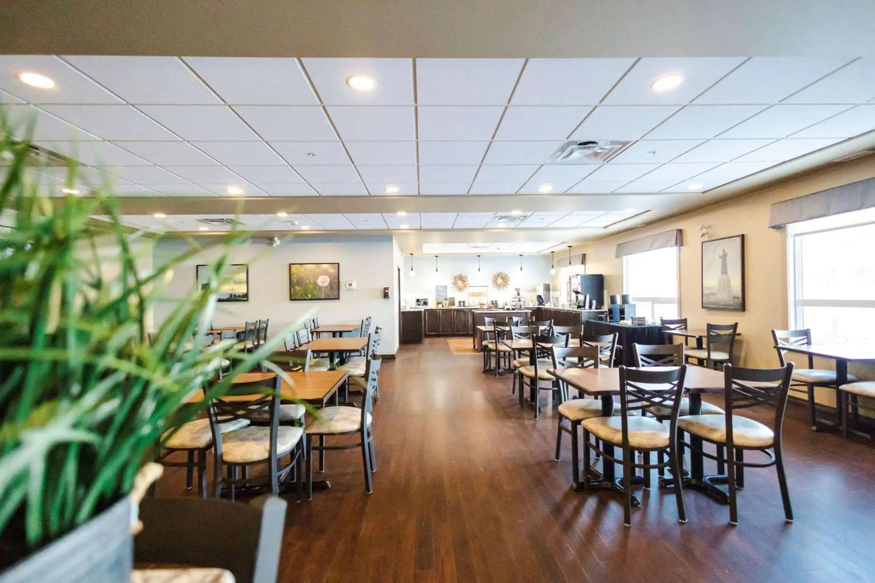 Restaurant/places to eat in Best Western Plus Lacombe Inn and Suites Restaurant/places to eat in Best Western Plus Lacombe Inn and Suites