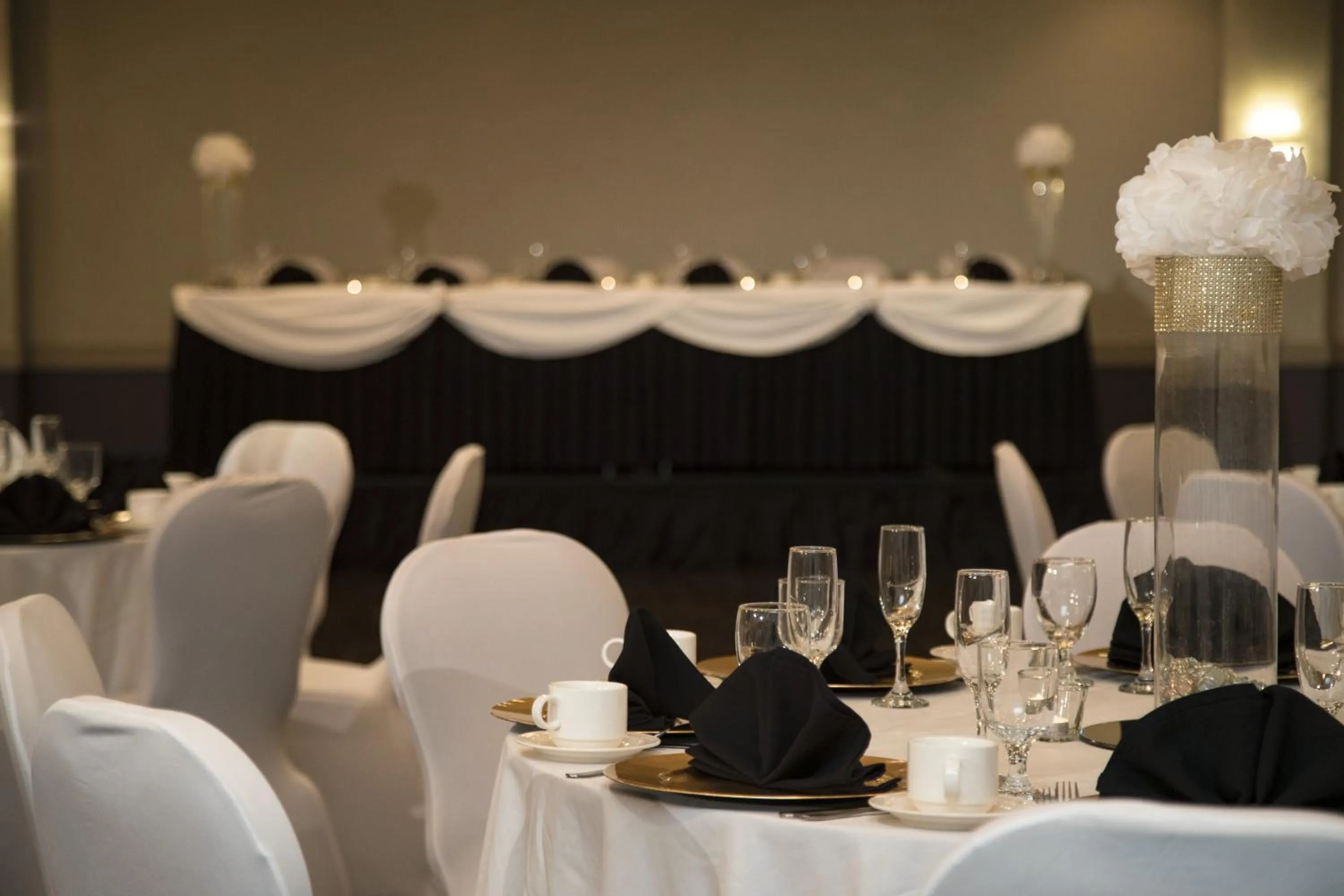 Banquet/Function facilities in Holiday Inn Washington-College Pk I-95