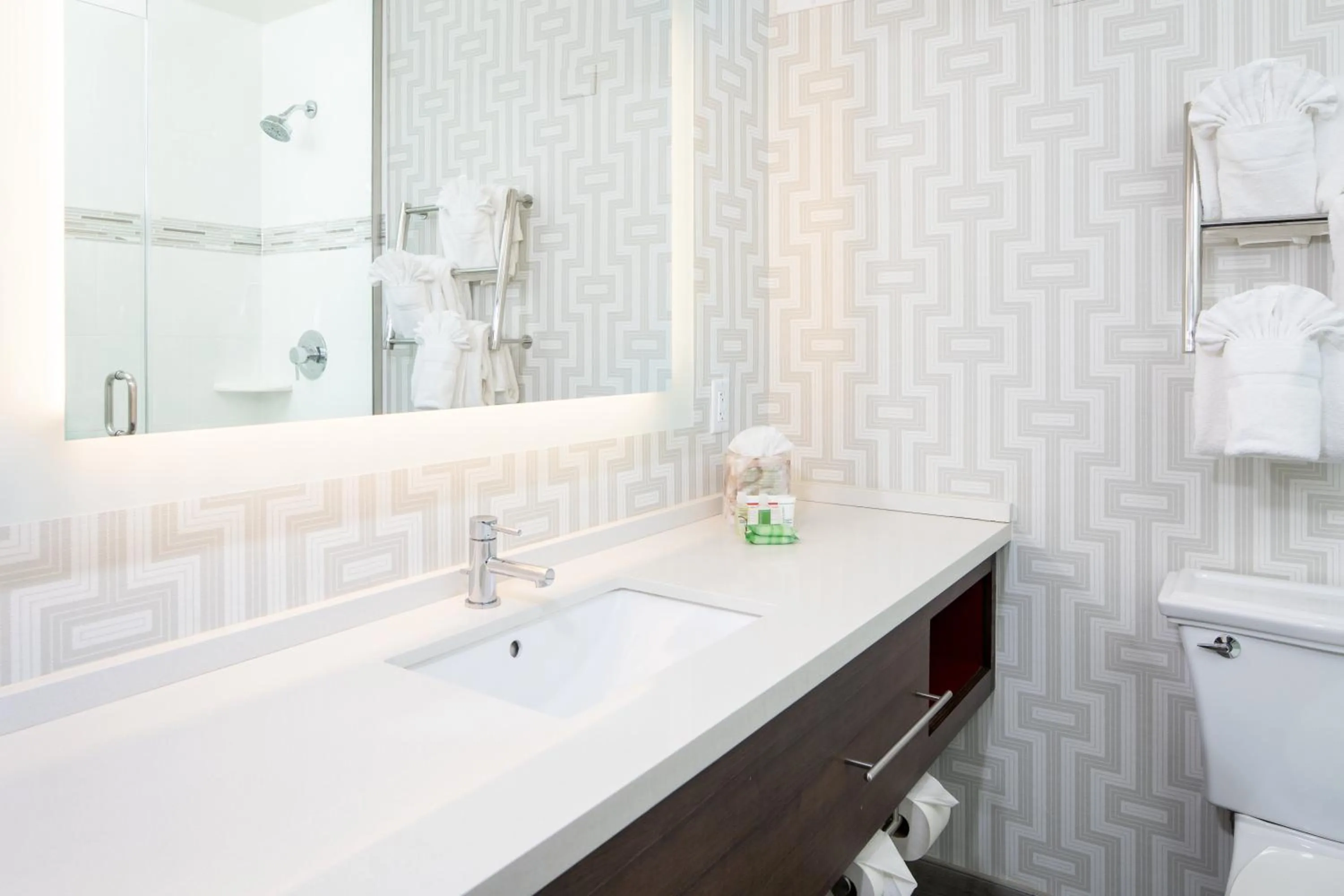 Bathroom in Holiday Inn Washington-College Pk I-95