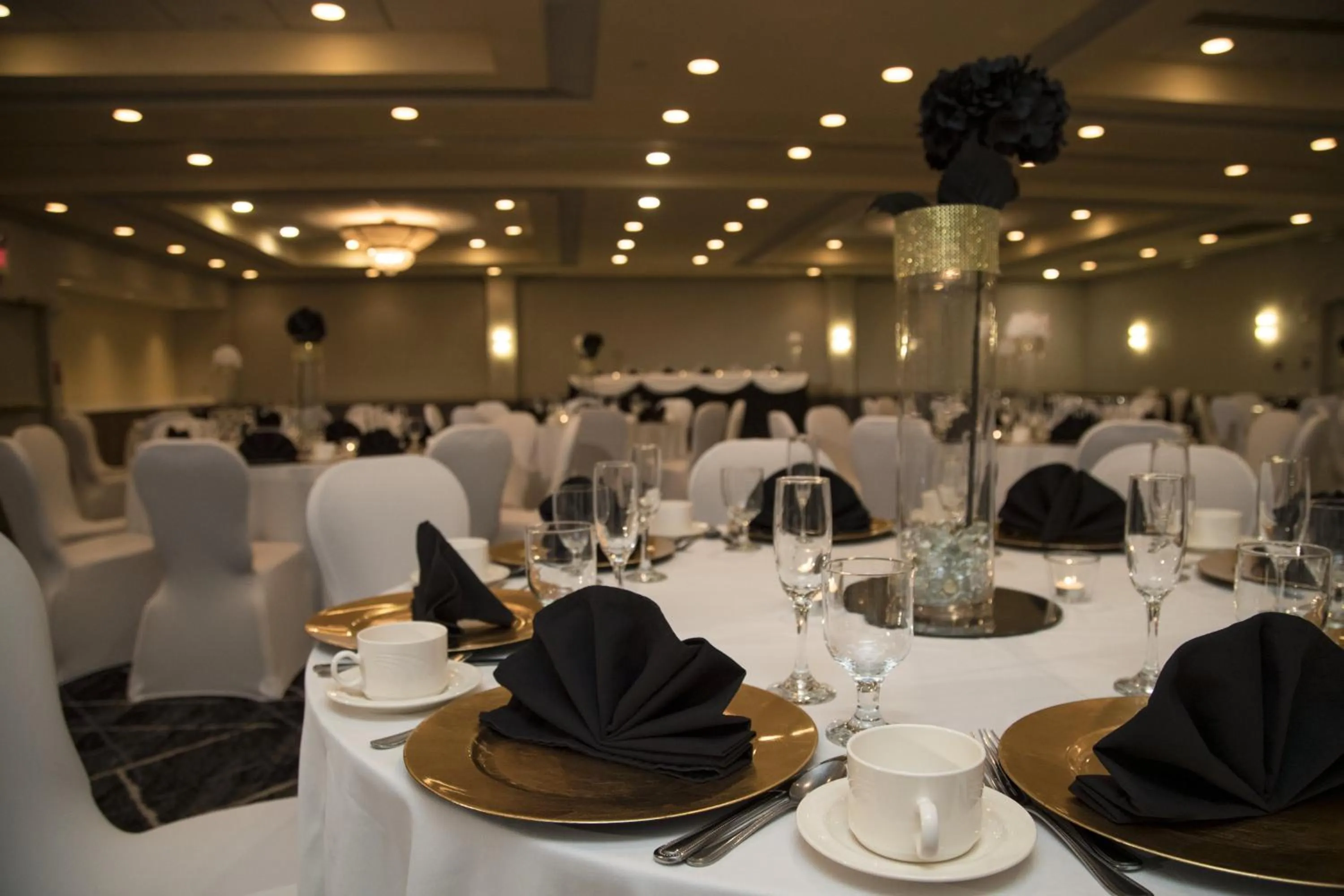 Banquet/Function facilities in Holiday Inn Washington-College Pk I-95
