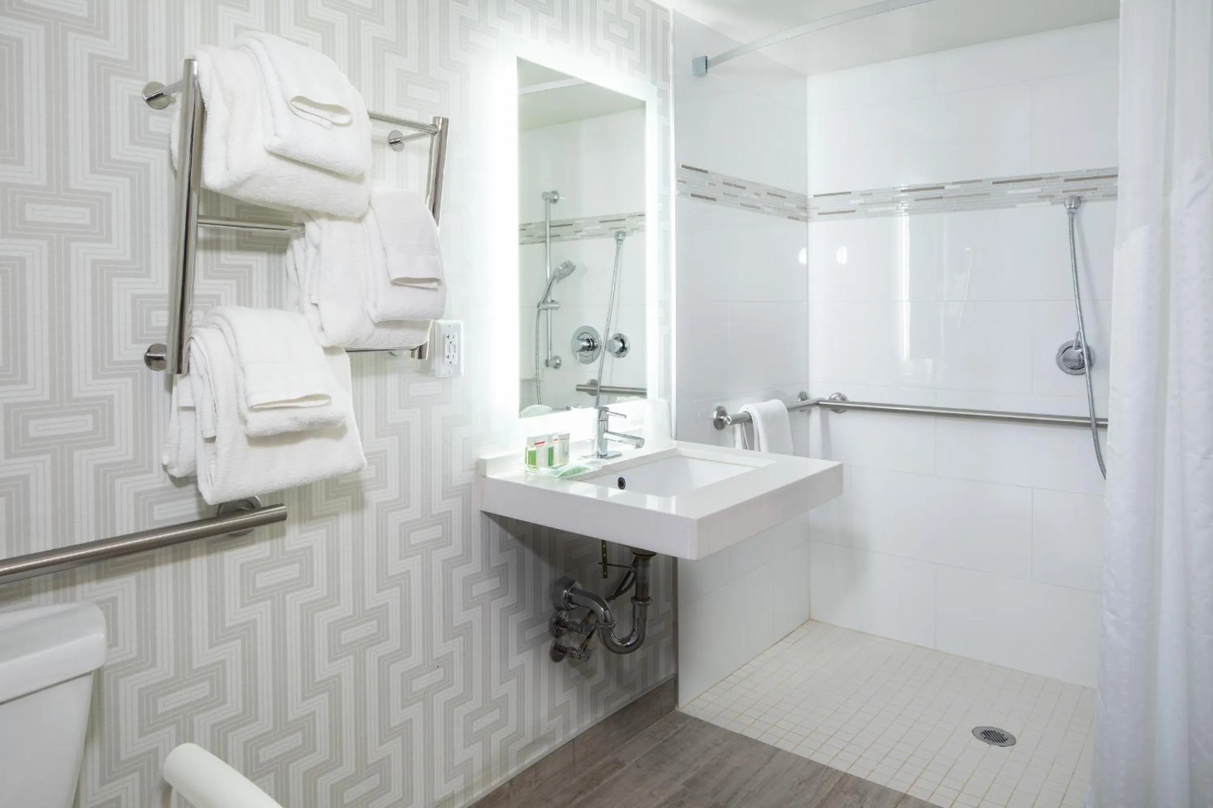 Shower in Holiday Inn Washington-College Pk I-95