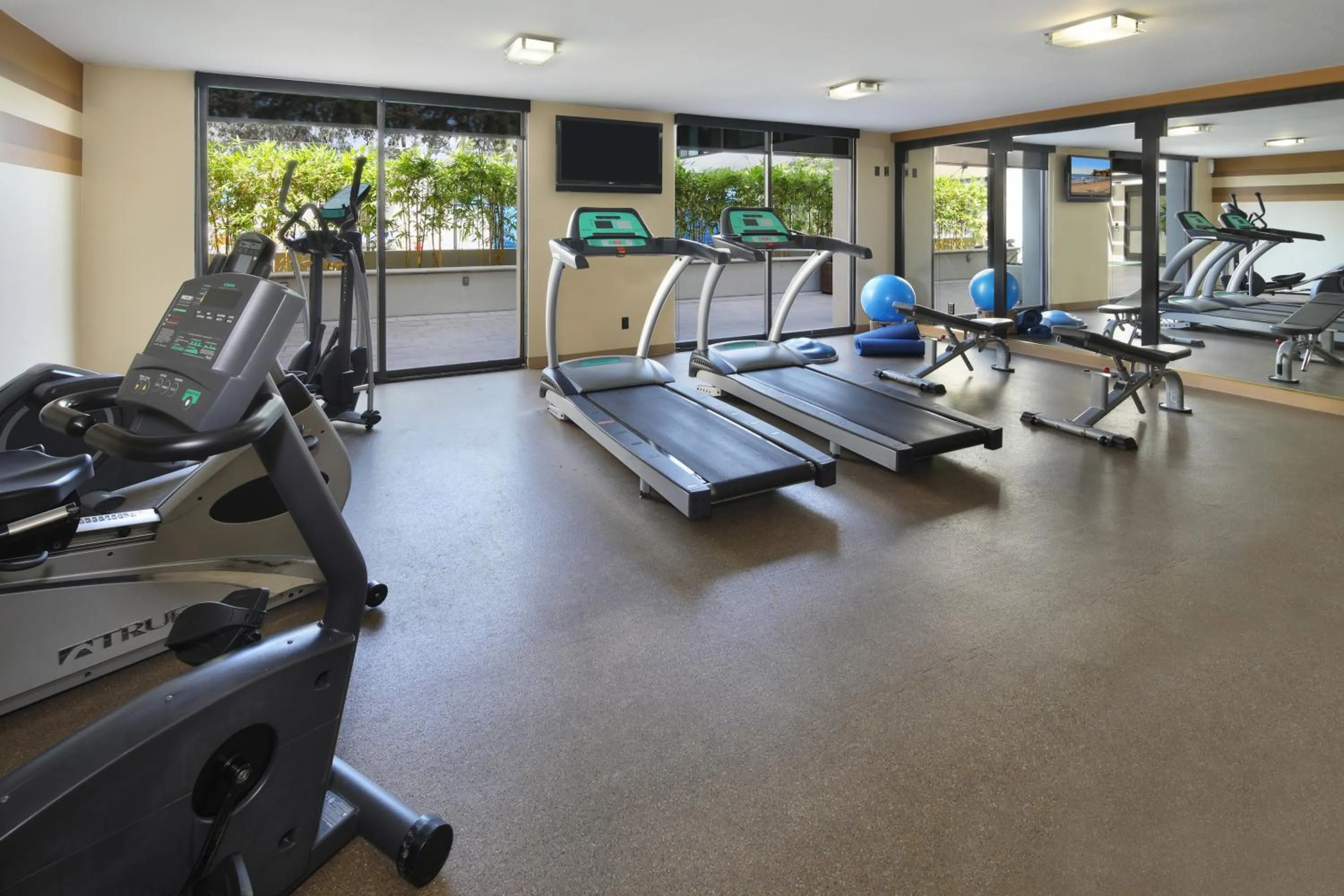 Fitness centre/facilities in Holiday Inn Hotel & Suites Anaheim by IHG
