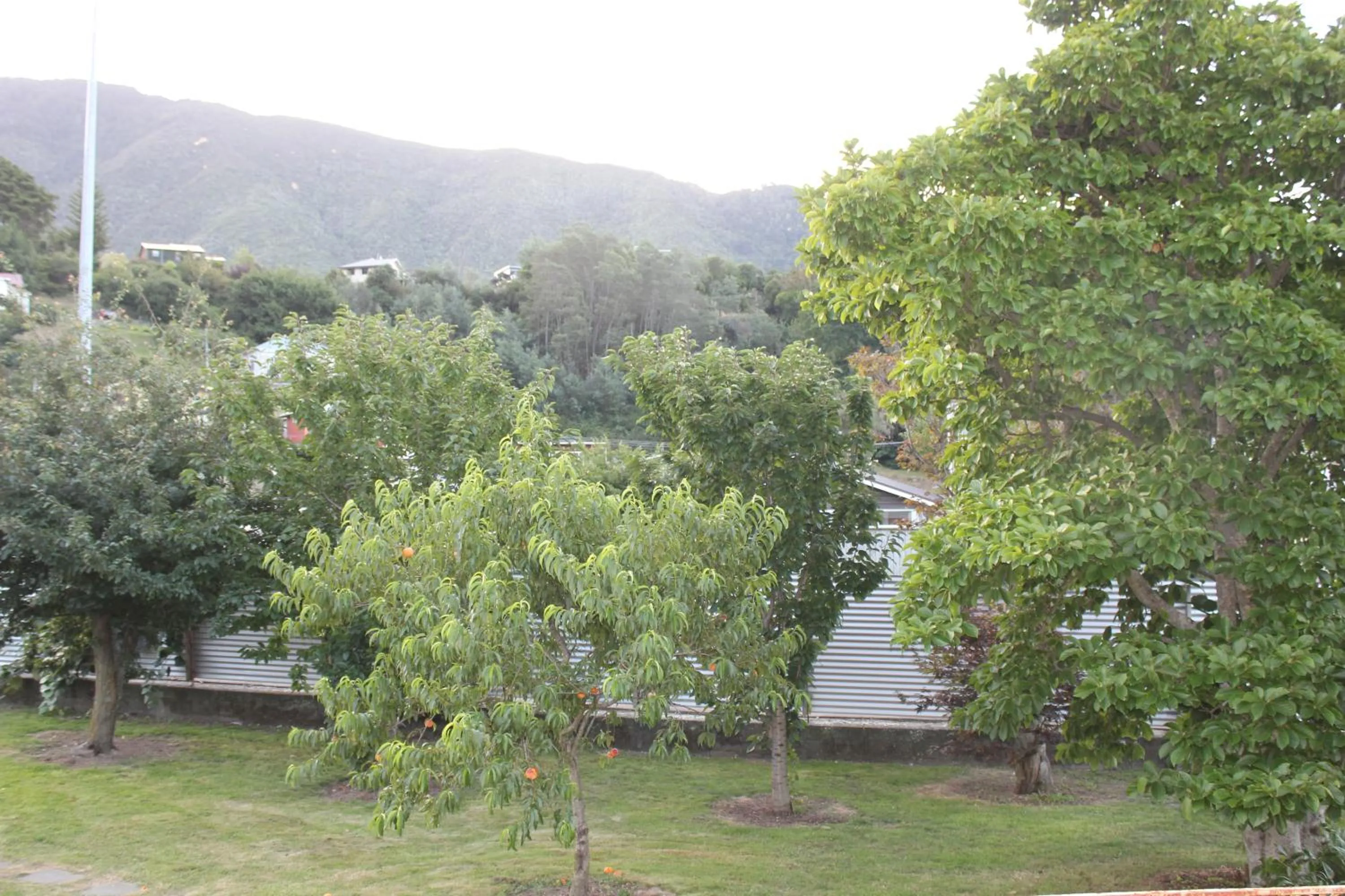 Natural landscape in Top of the Town