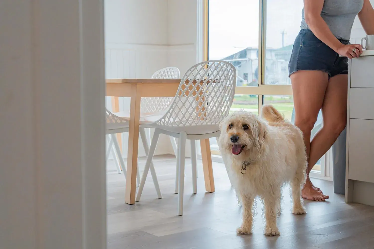 Superior Beach Comber (Pet Friendly) in The Black Dolphin Holiday Park Superior Beach Comber (Pet Friendly) in The Black Dolphin Holiday Park