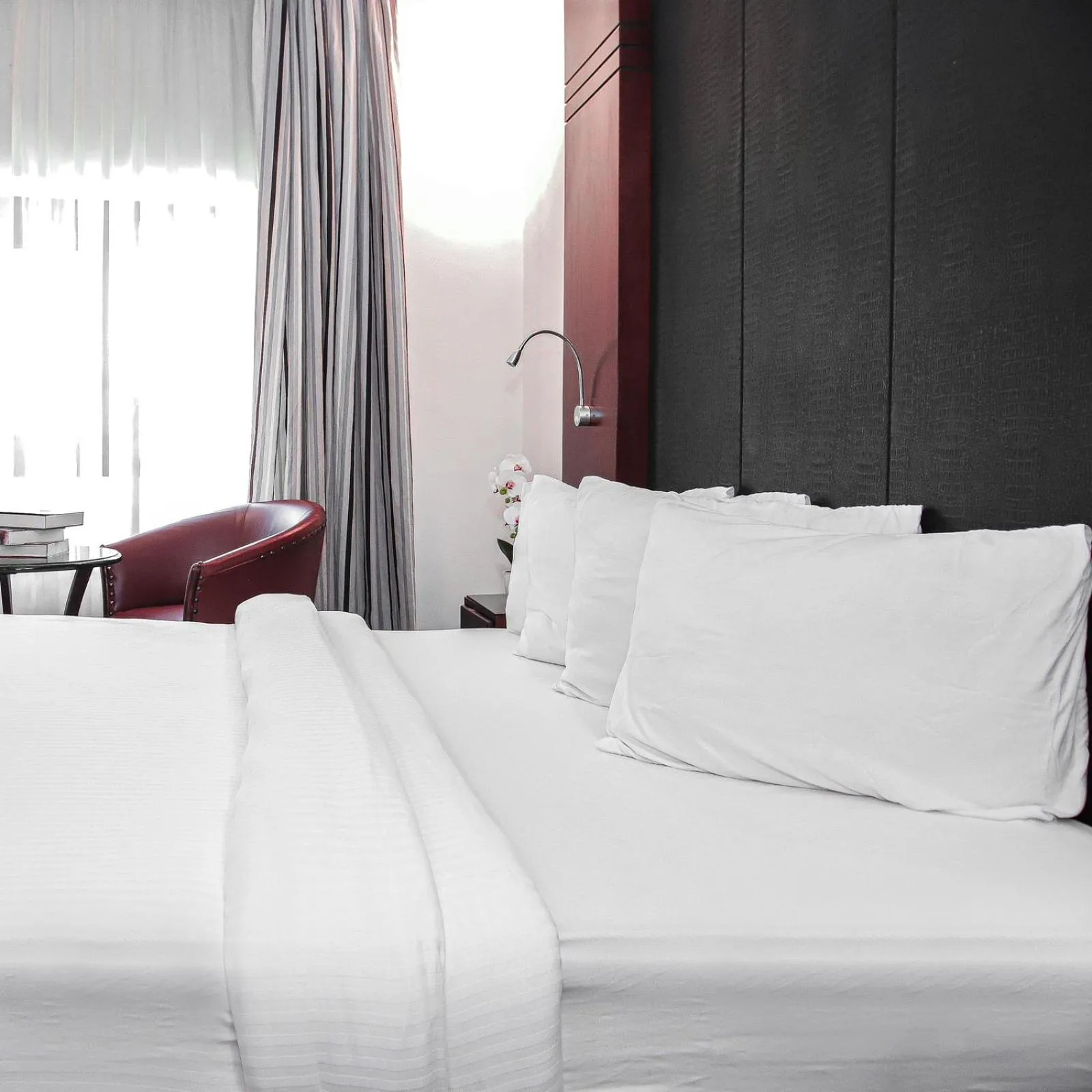 Photo of the whole room in Torino Hotel Amman