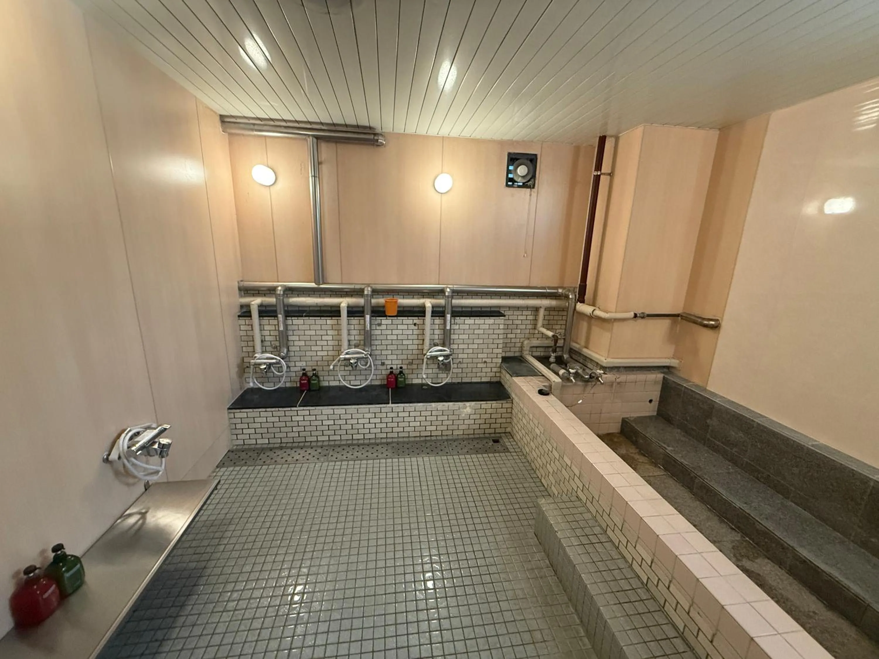 Public Bath in Hotel Kamoike Plaza