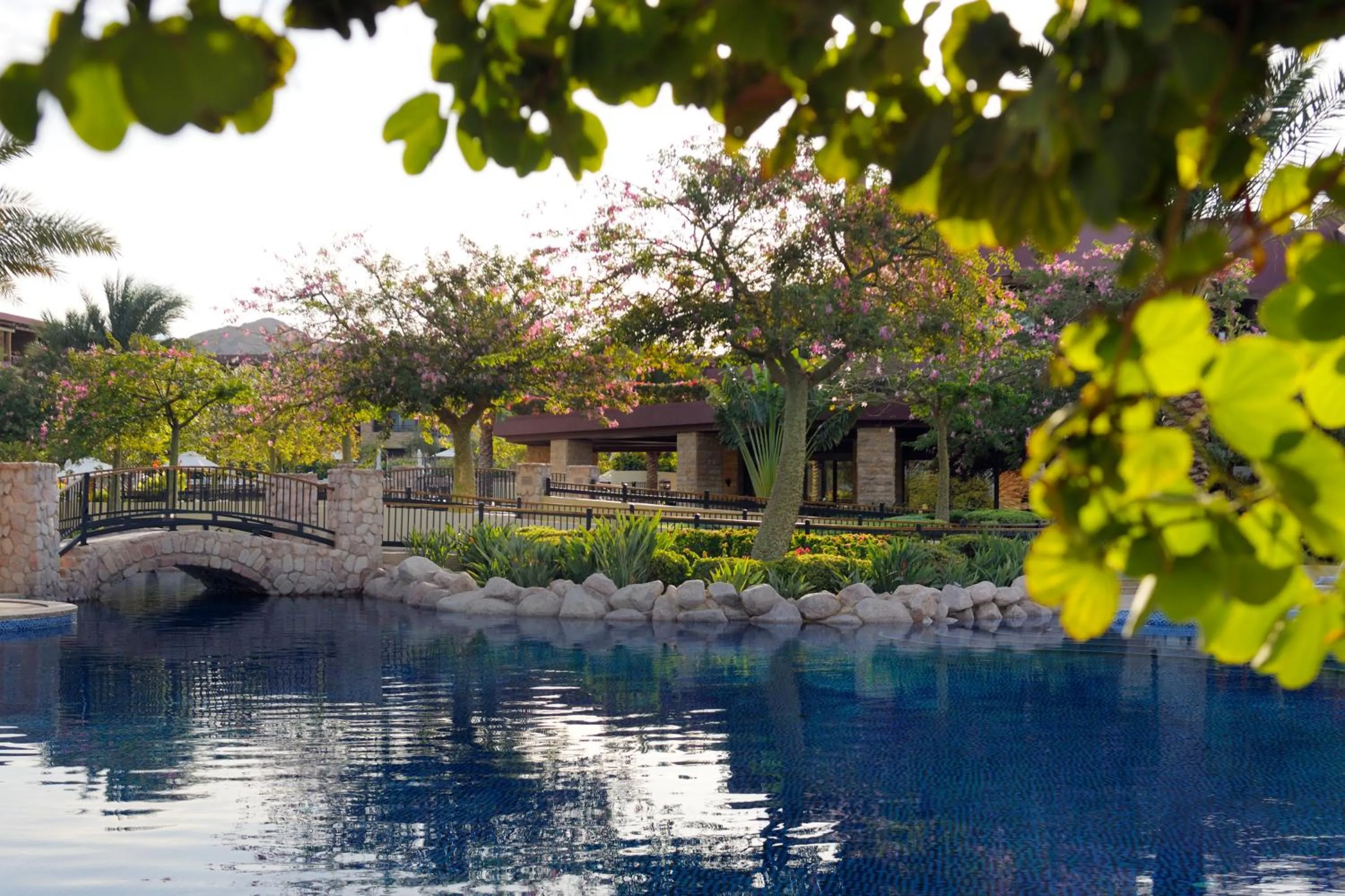 Swimming pool in Mövenpick Resort & Spa Tala Bay Aqaba