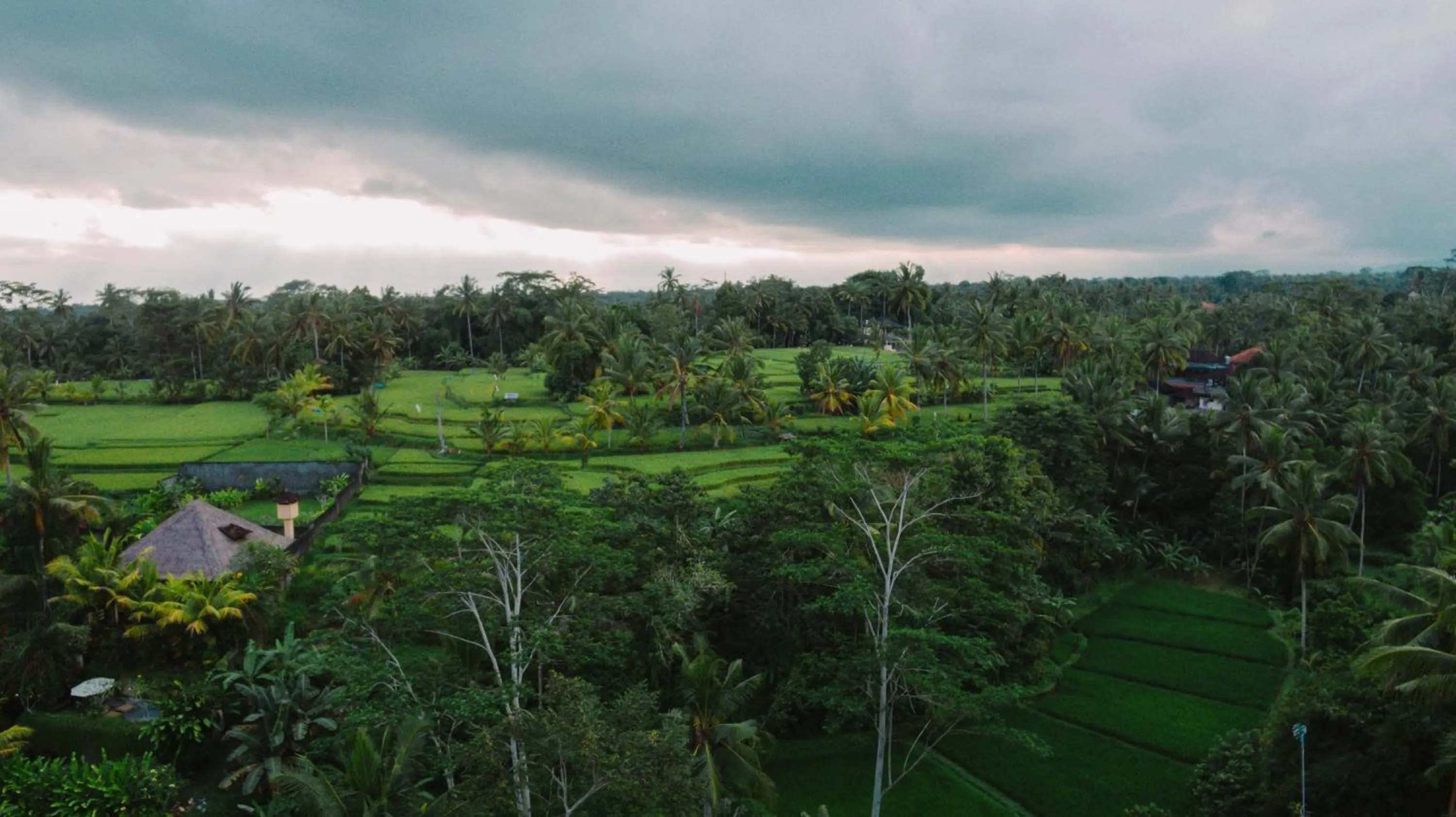 View (from property/room) in River Sakti Ubud by Prasi