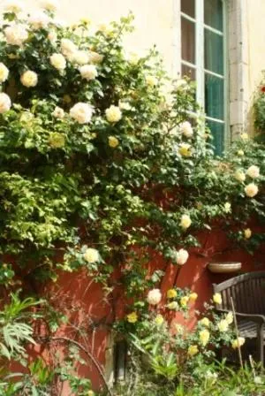 Garden in Demeure de Digoine "Chambre d'Hotes"